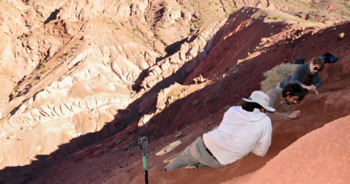 "عدّاء الريح".. ديناصور من الأنديز يكشف سر الأعناق الطويلة