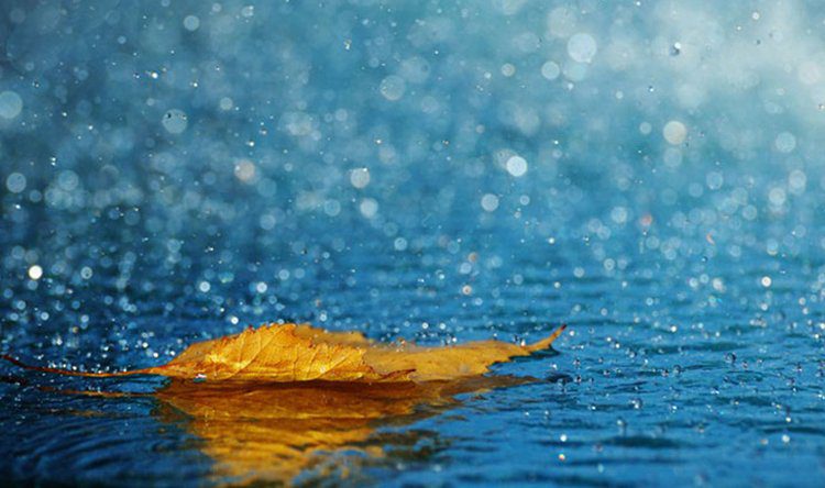 منخفض جوّي في طريقه إلينا!