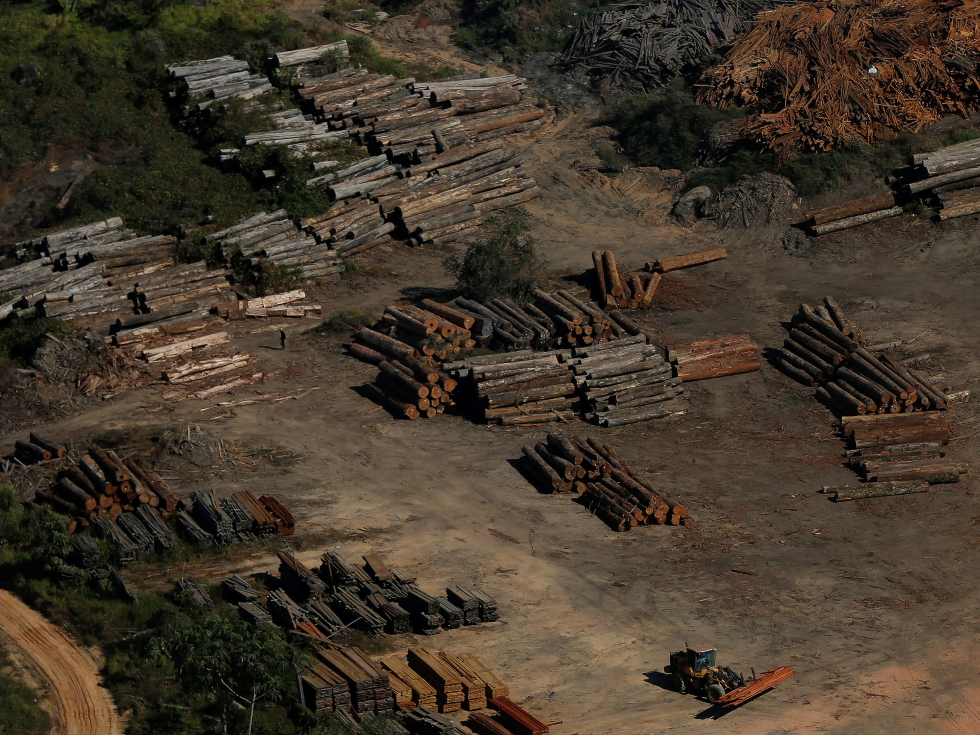 غابات أفريقيا تتحول من خزان للكربون إلى مصدر له