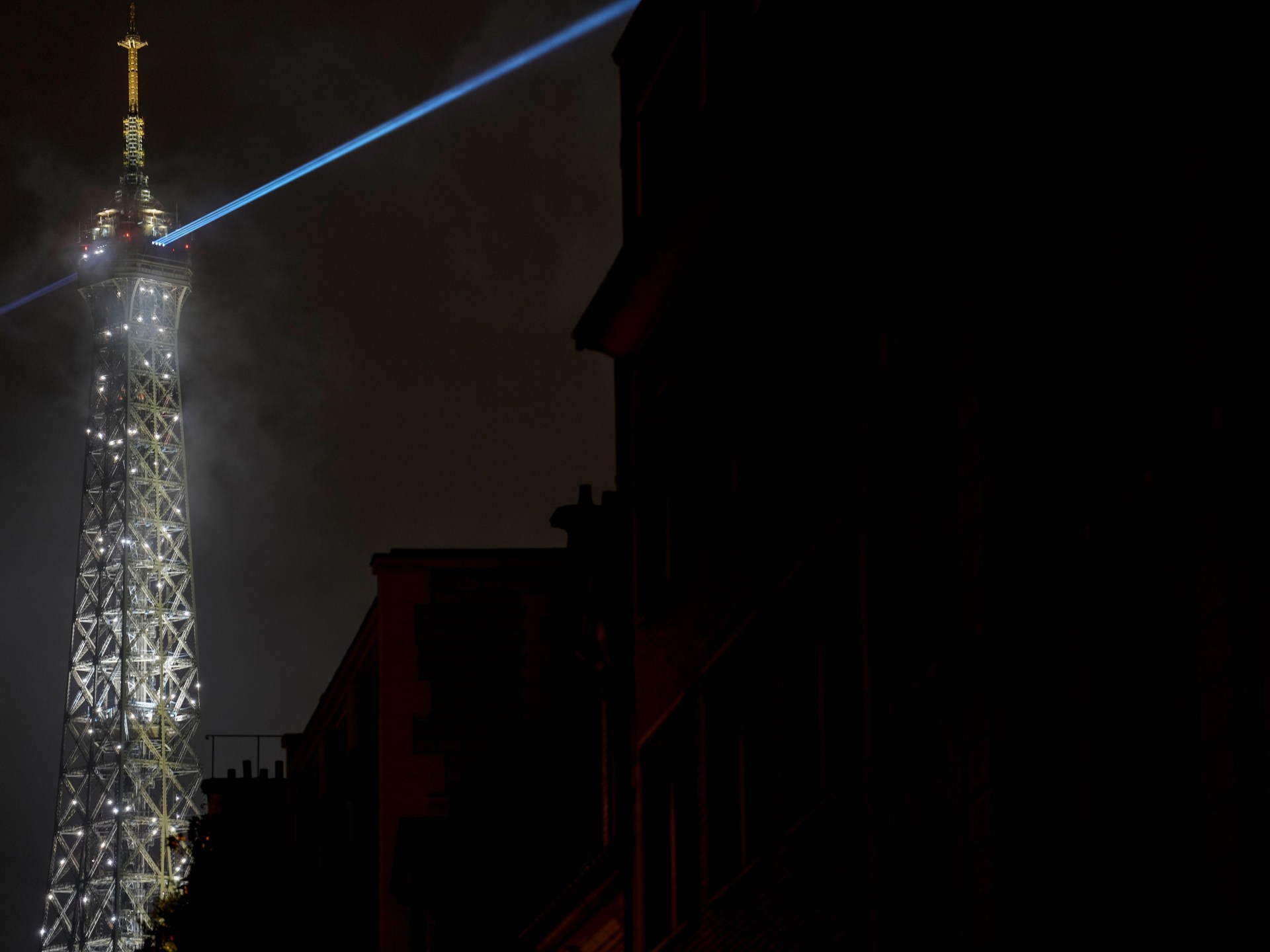 كيف يؤثر الضوء الاصطناعي على توازن الكربون في النظم البيئية؟