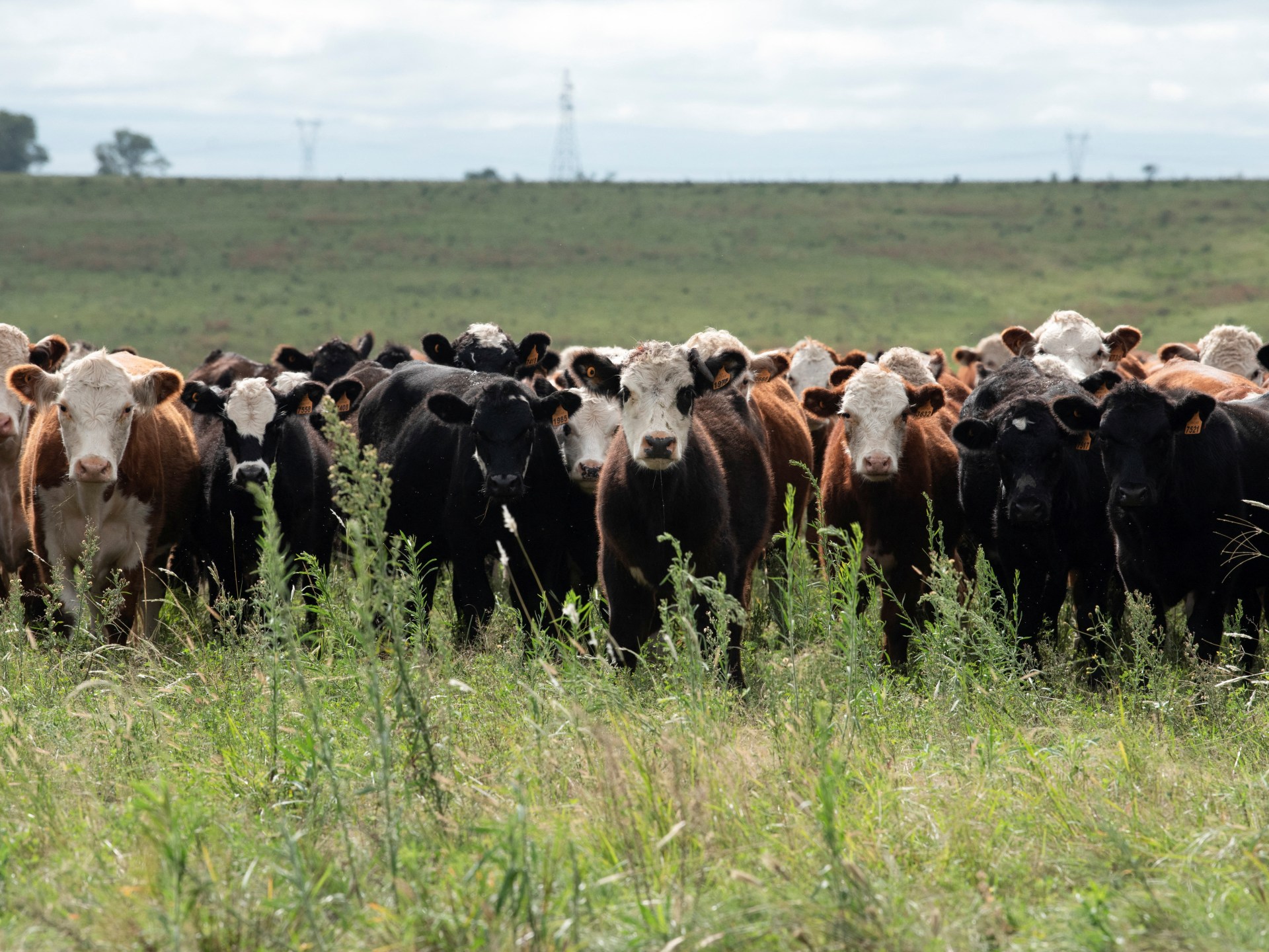 تقرير أممي يحذر من ارتفاع انبعاثات الميثان العالمية