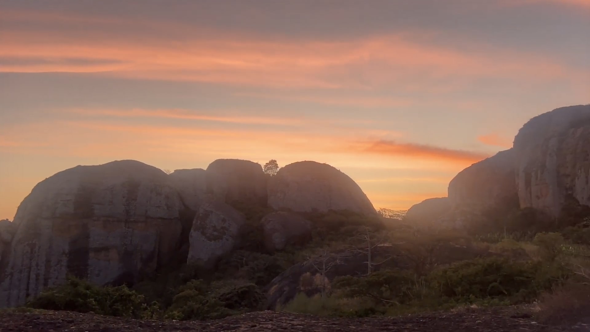 في أقدم صحراء بالعالم.. منتزه يكشف سحر الحياة البرّية في أنغولا