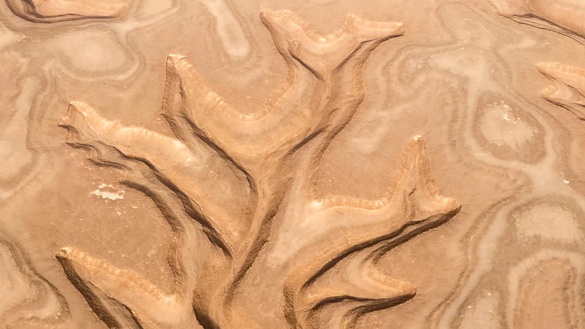 من الجو..سعودي يكشف لوحات فنية شكلتها أنامل الطبيعة في قلب السعودية