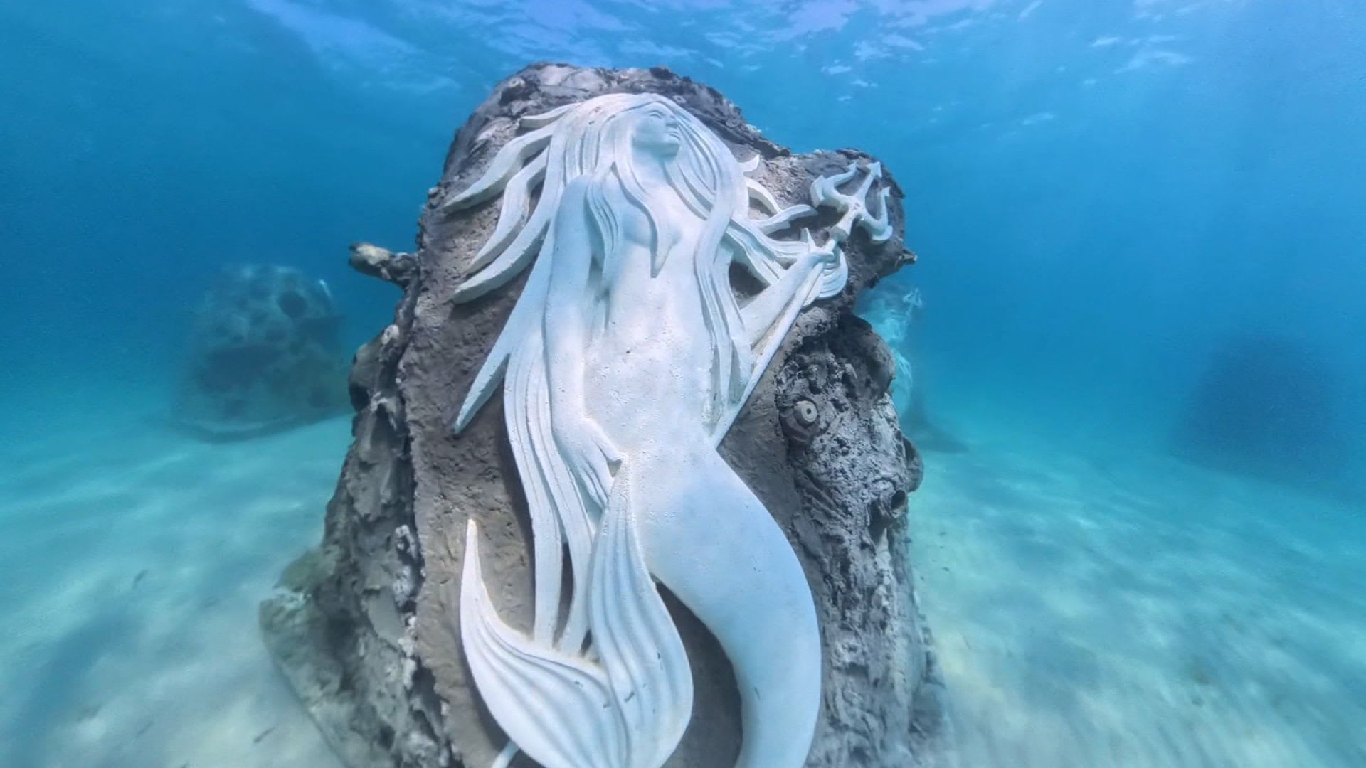 تجمع بين الفن والعلم.. أعمال تجذب السياح والشعاب المرجانية تحت الماء