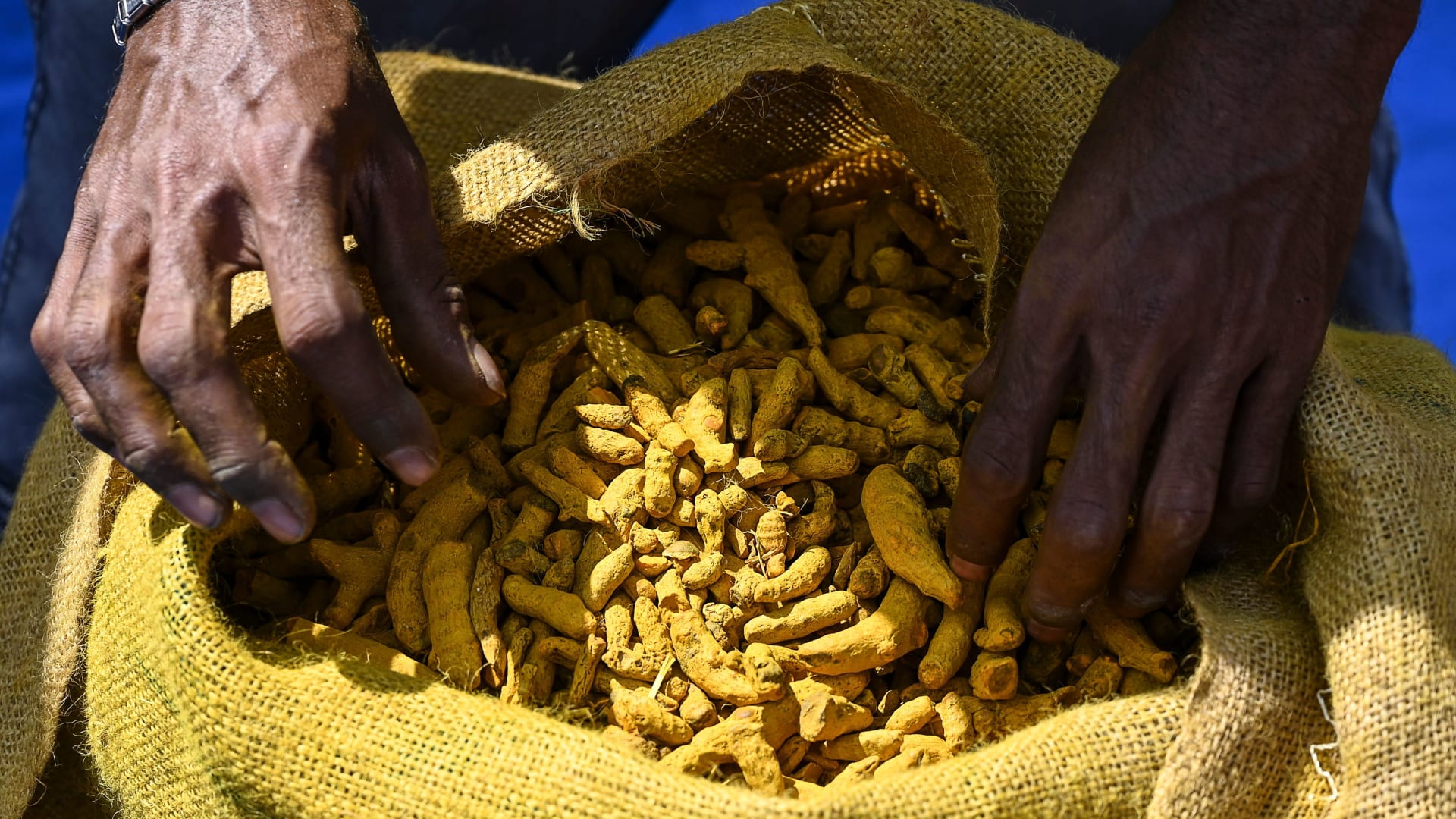 فوائد نبات الكُركم..هكذا تعزز من امتصاص "الذهب الأصفر" بالجسم