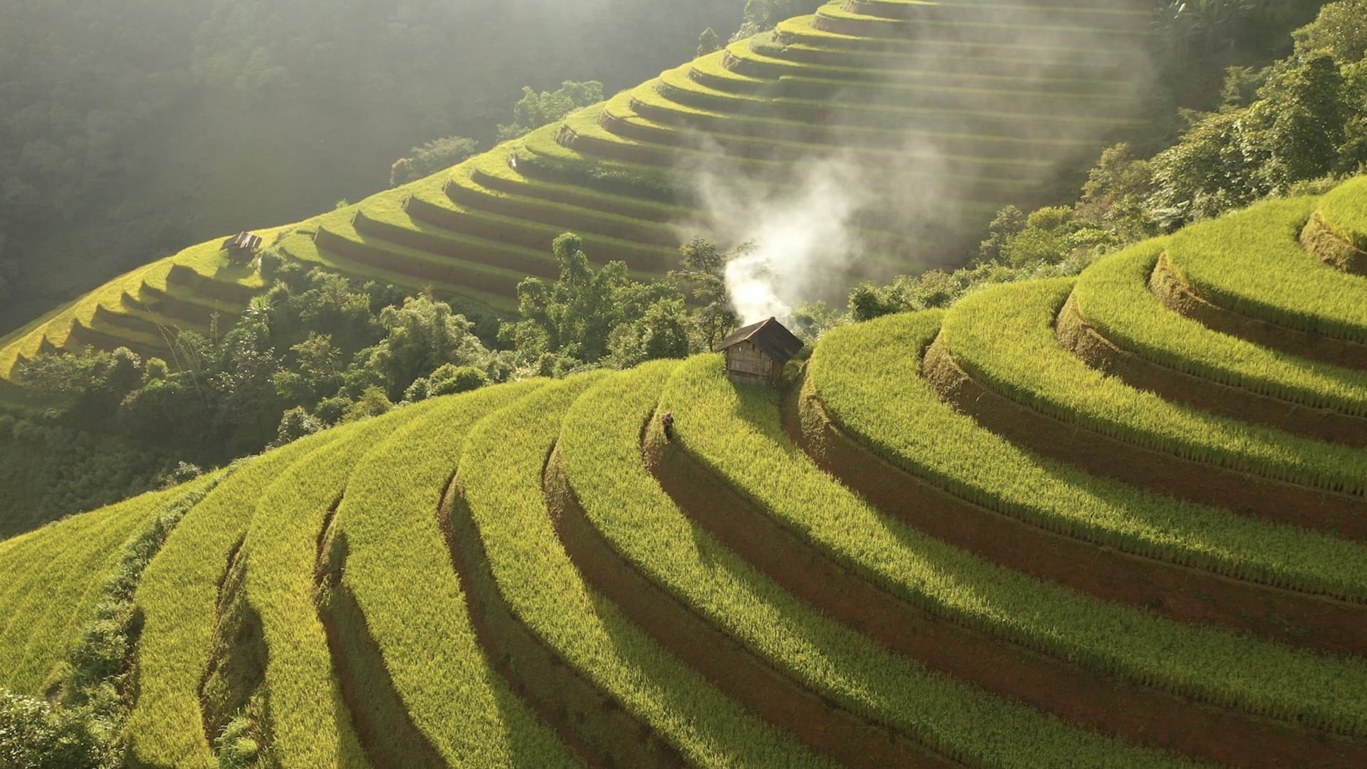 مصور يوثّق المدرجات الخضراء الساحرة في فيتنام