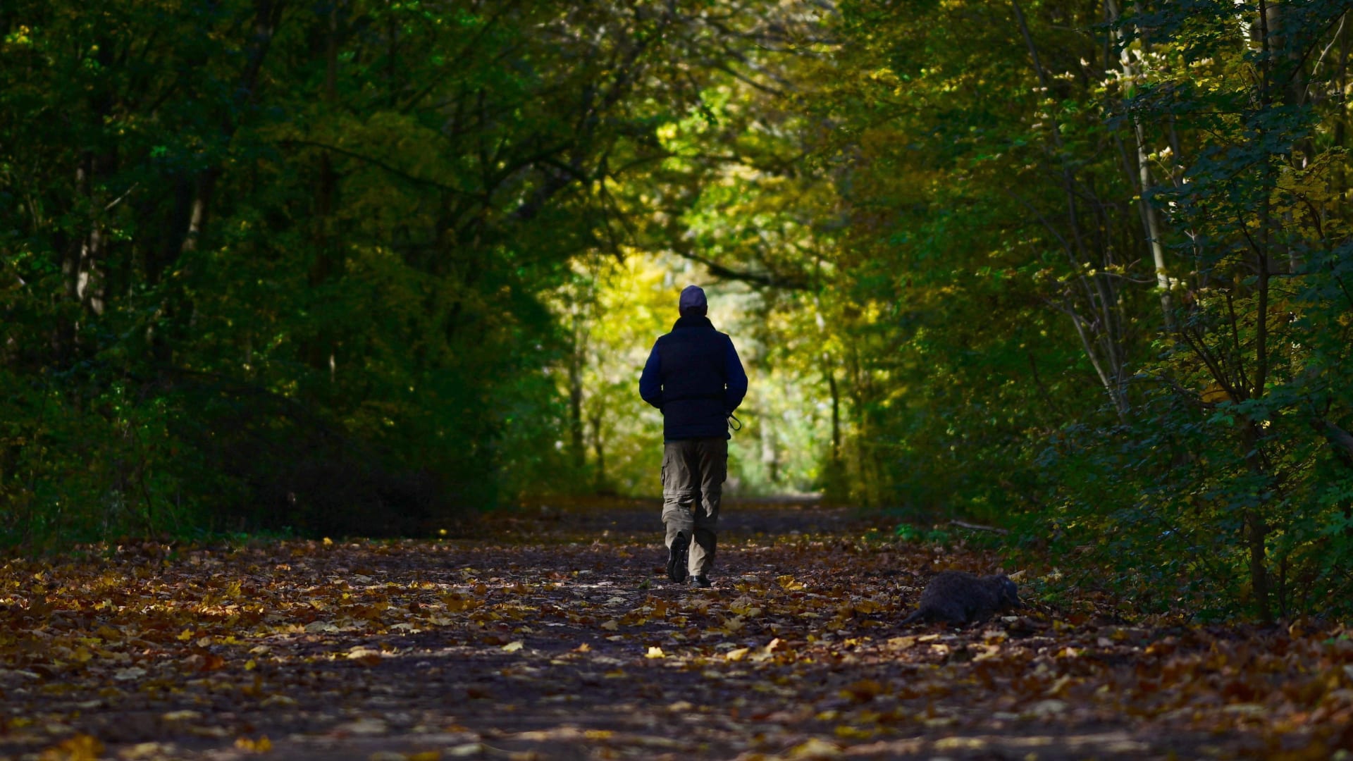 المشي الطويل.. طريقك إلى قلب أقوى وعمر أطول