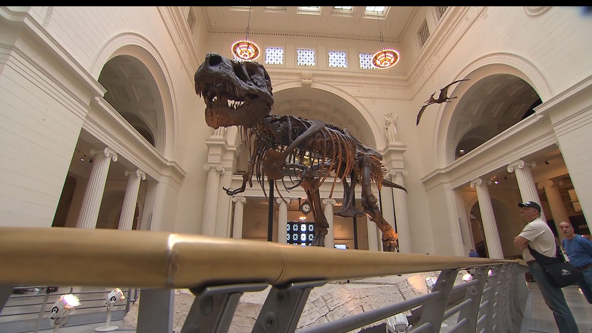 من تيرانوصور إلى ديناصور نادر.. اكتشاف مفاجئ في عالم الحفريات