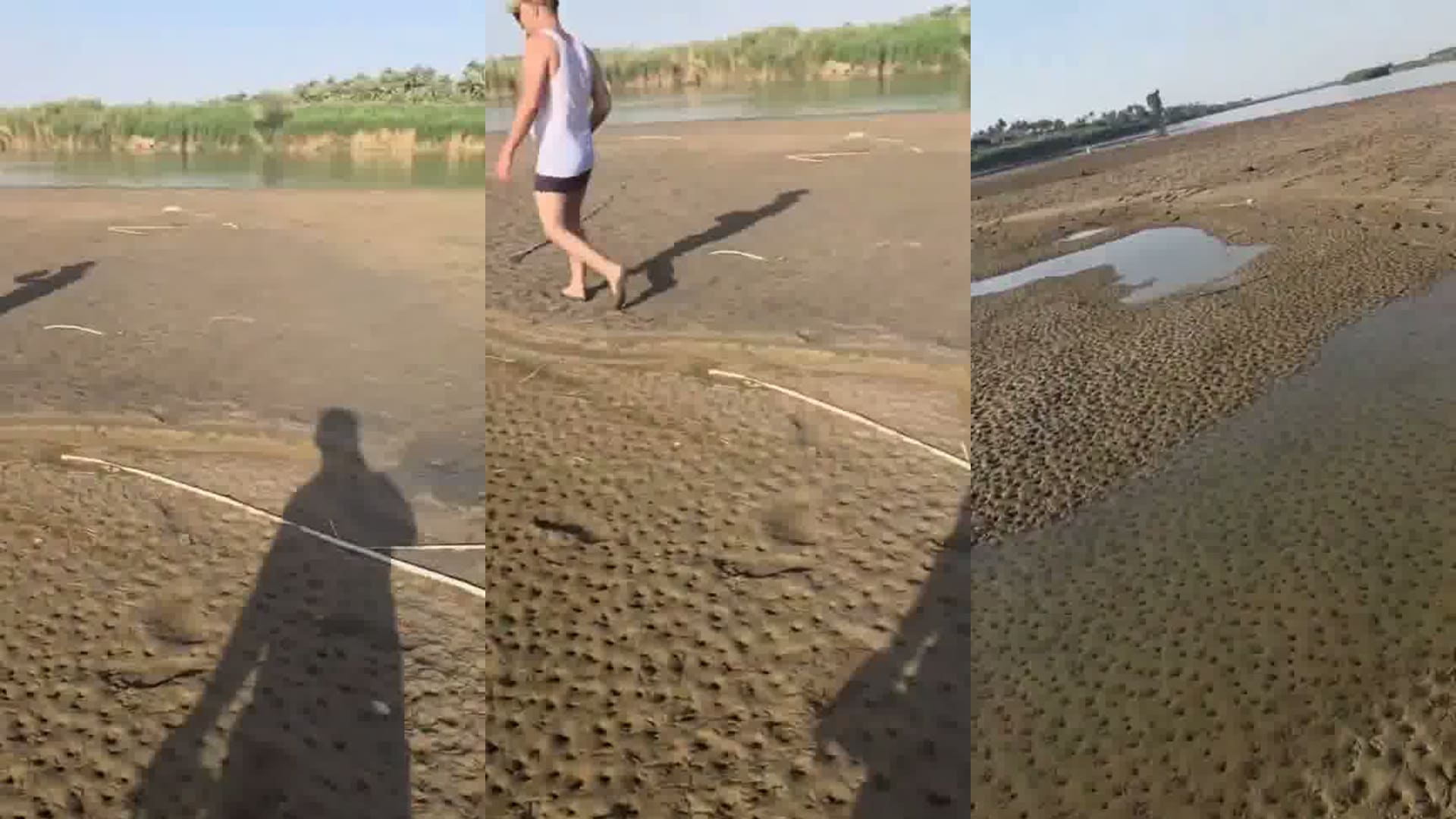 فيديو منسوب إلى "جفاف مياه نهر دجلة" بالعراق مؤخرًا.. ما حقيقته؟
