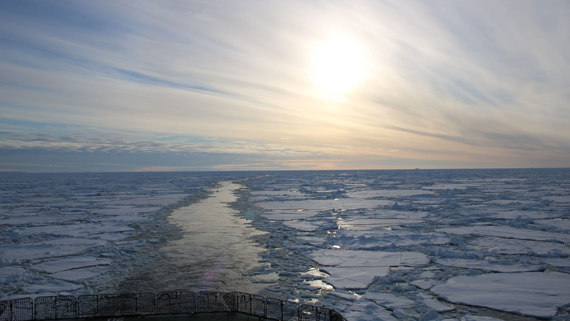 بعثة استكشافية تحقق اكتشافًا مذهلًا في قاع البحر بالقارة القطبية الجنوبية