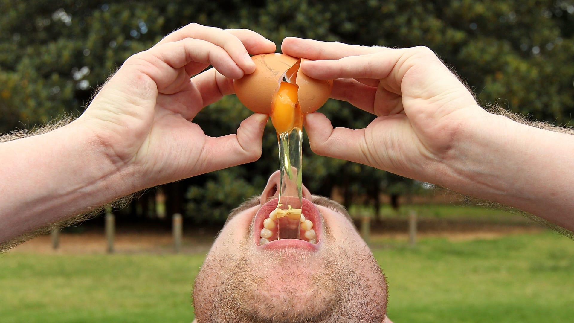 ماذا يحدث لجسمك عند تناول البيض النيئ؟