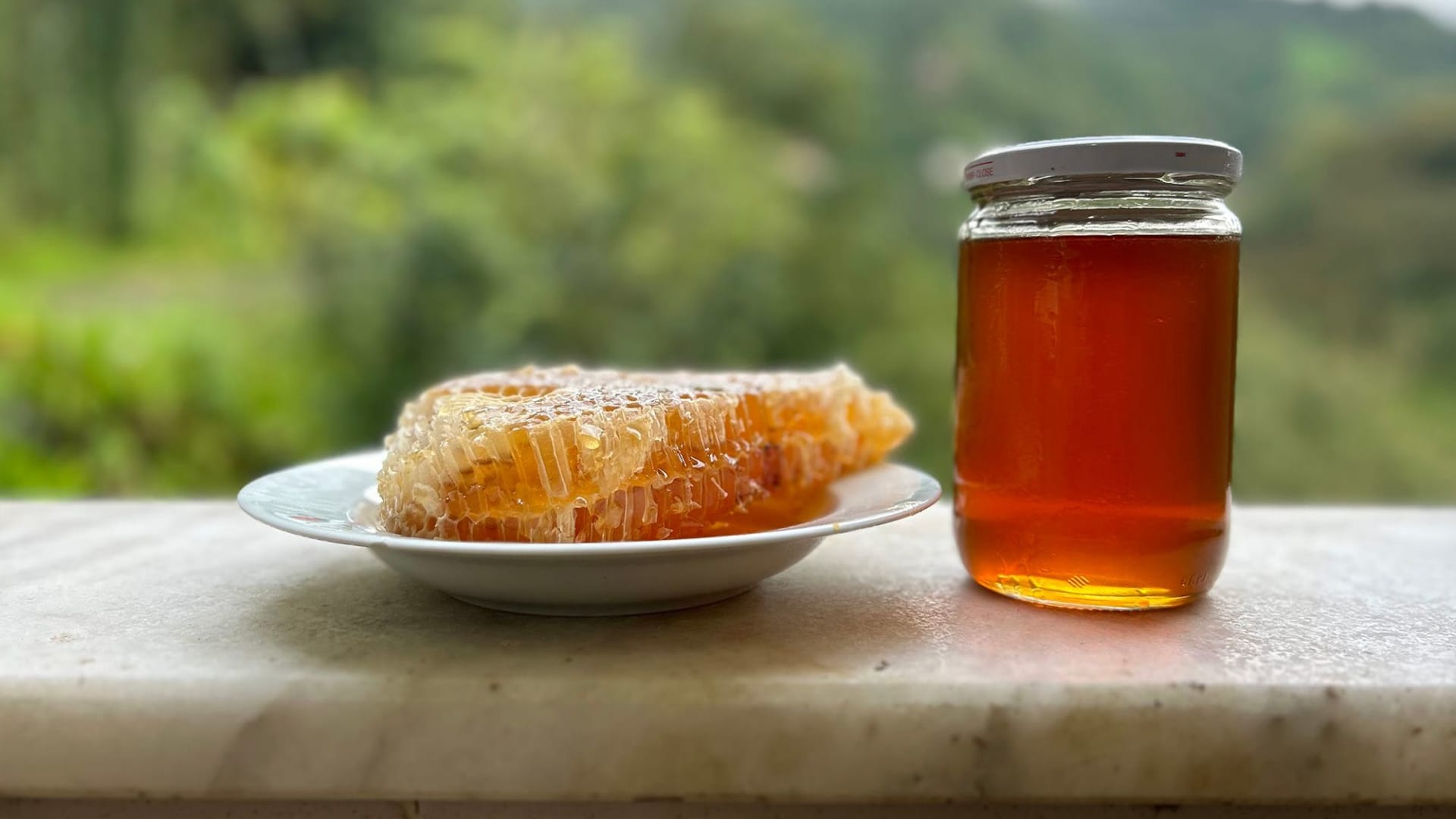 "العسل المجنون" في تركيا..هل لديه القدرة فعلًا على إسقاط جيش كامل؟