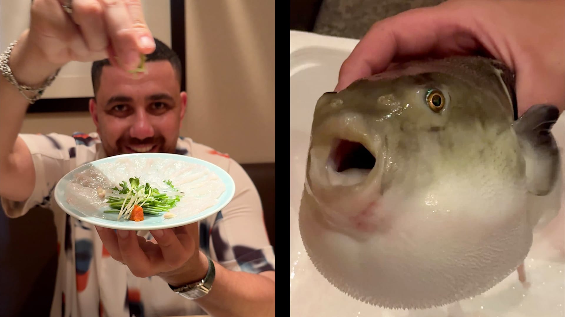 السمكة المنتفخة.. مصري يُجرّب تناول سمكة "قاتلة" في اليابان