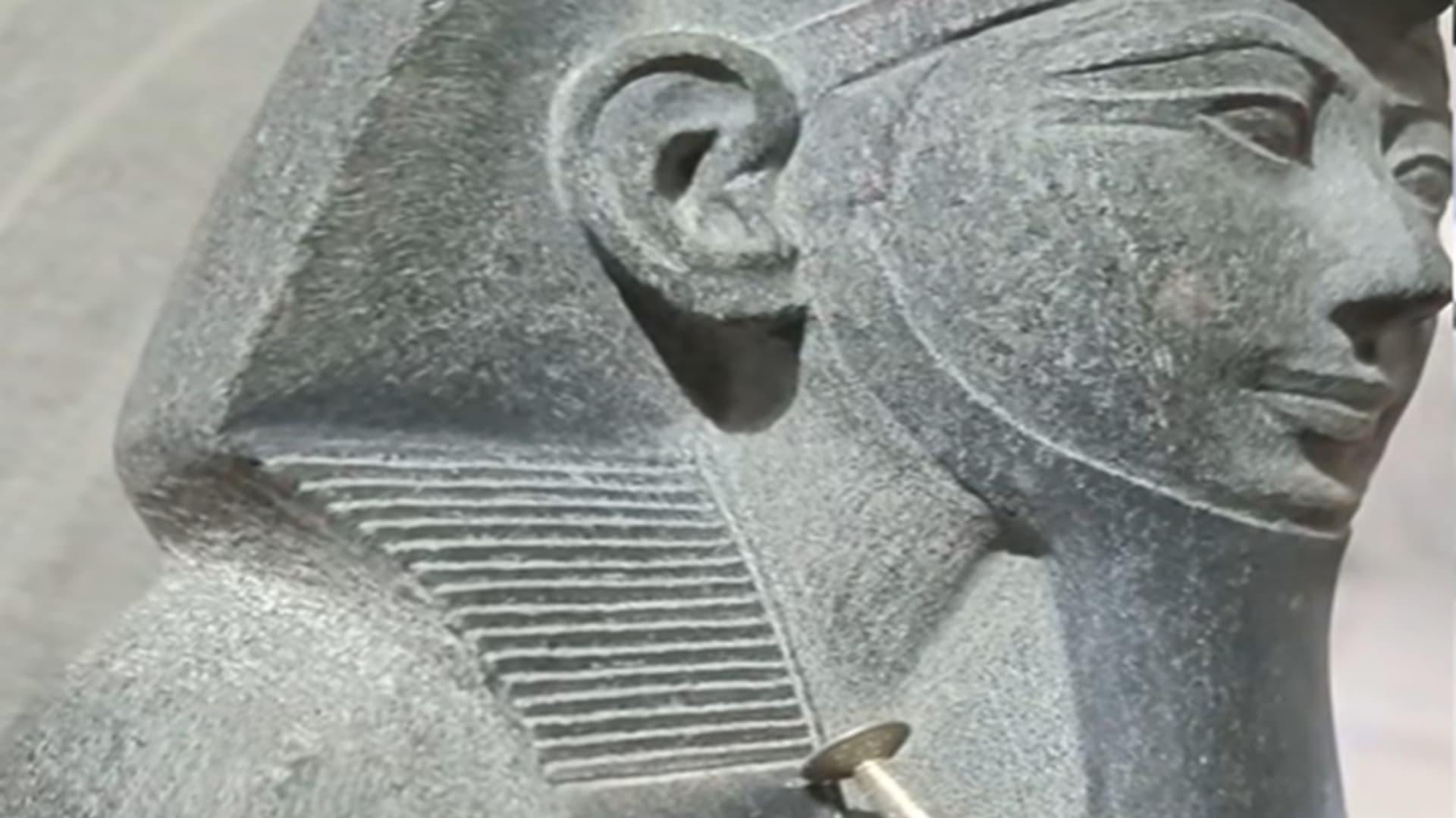 فيديو متداول بمزاعم وجود "آثار مٌقلدة في المتحف المصري".. هذه حقيقته