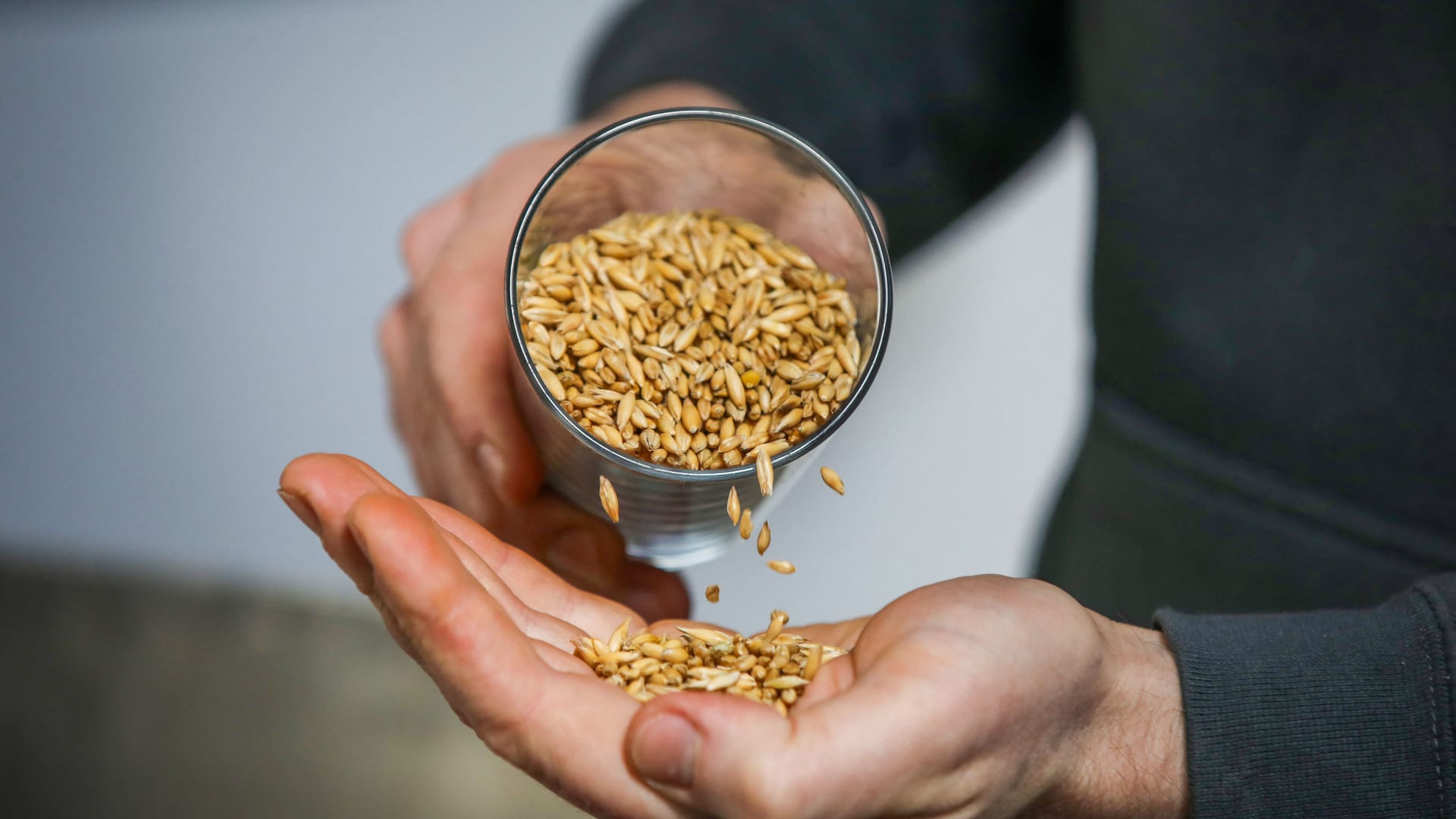 أبرز فوائد حبوب الشعير الكاملة.. ما علاقته بخفض الكوليسترول؟