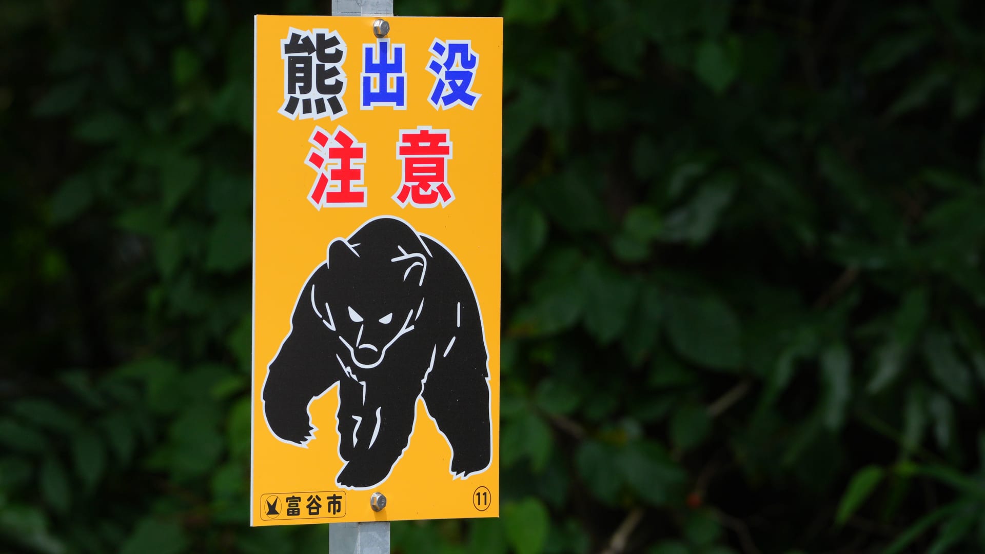 تحذير"نادر" من أمريكا لرعاياها في اليابان بشأن "الدببة"