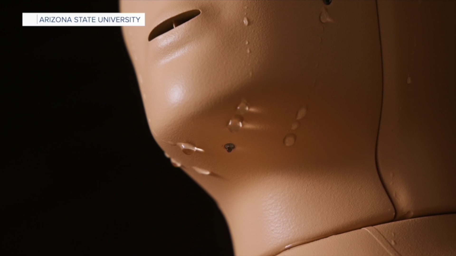 العرق والملح .. كيف يحميان الجسم من الحرارة الشديدة؟