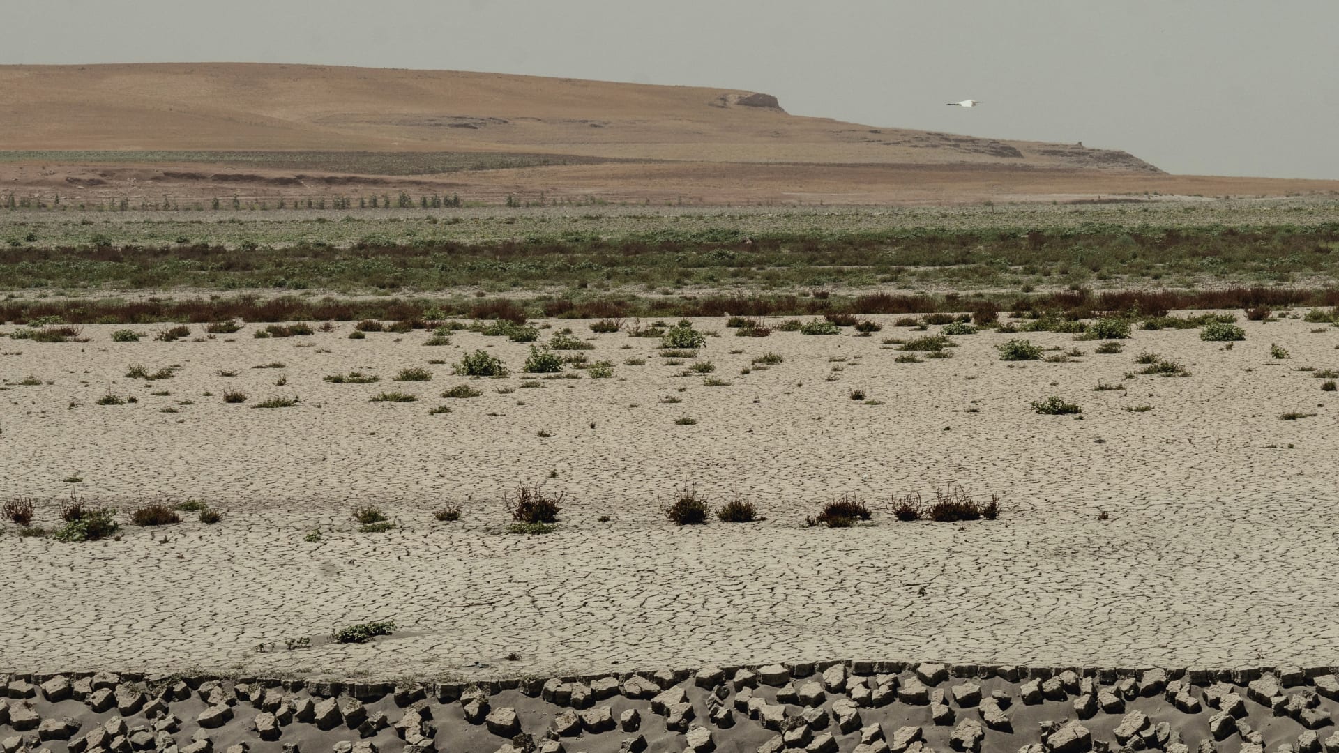 إيران تلجأ إلى تلقيح السحب وسط جفاف تاريخي لم تشهده البلاد منذ 50 عامًا