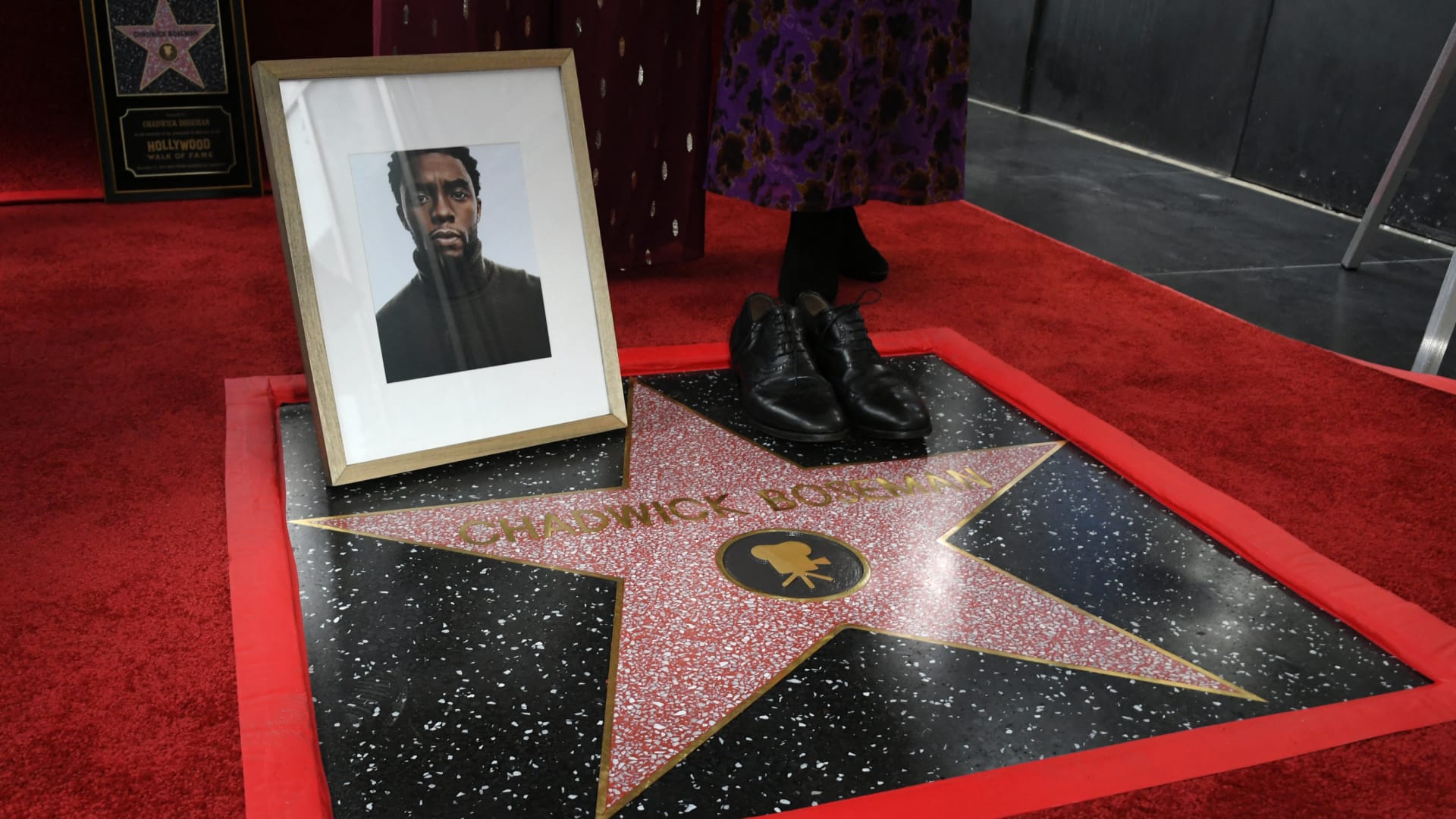 تكريم تشادويك بوسمان بطل "Black Panther" بنجمة في ممشى مشاهير هوليوود