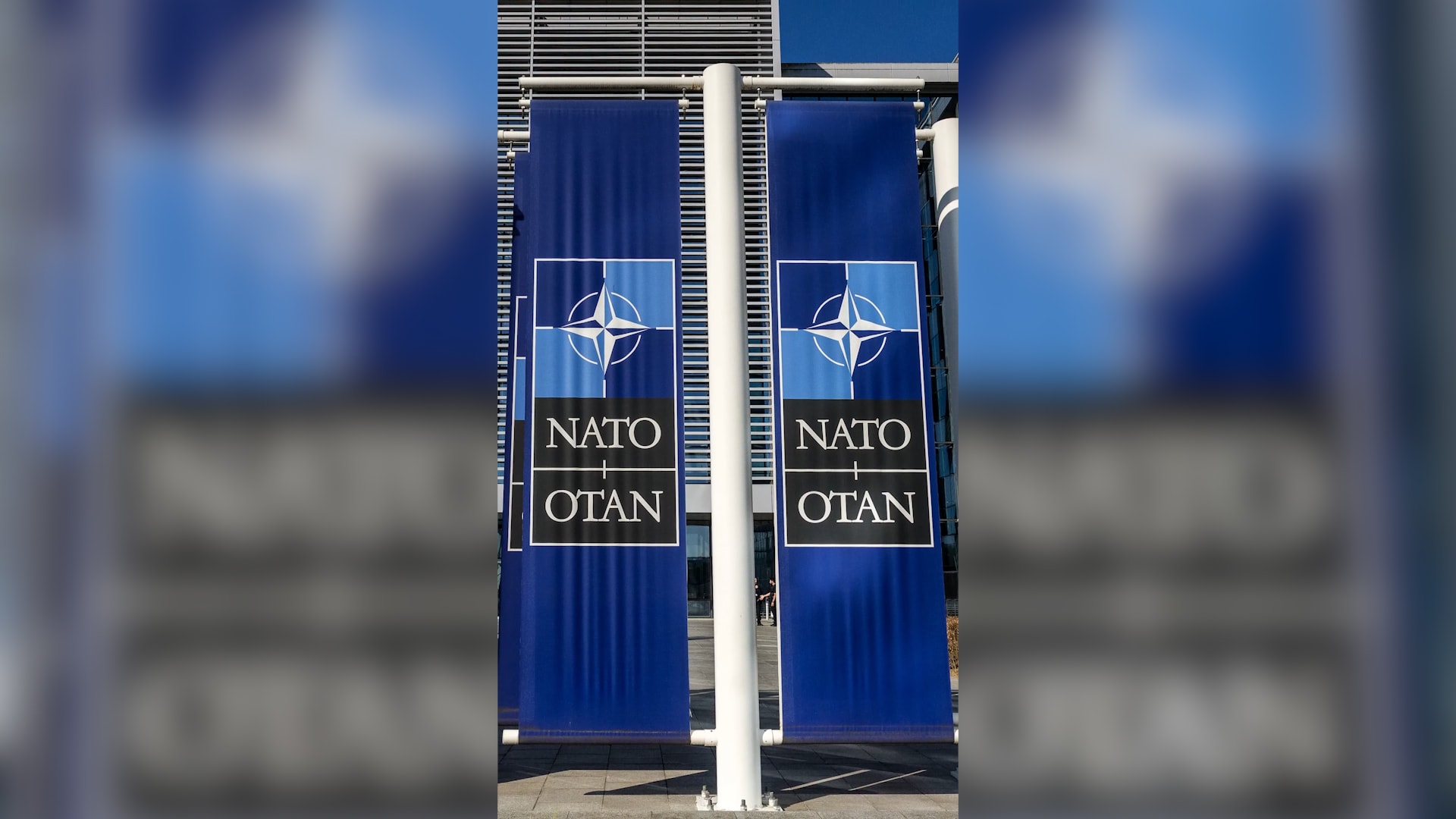 منها عدم الانضمام للناتو.. ما الذي يتضمنه مقترح ترامب للسلام في أوكرانيا؟