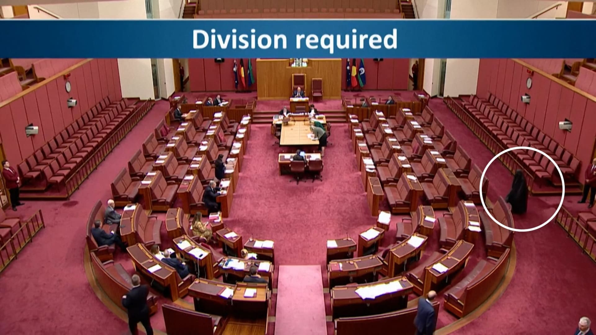 مشرعة أسترالية ترتدي النقاب في البرلمان وتثير عاصفة غضب.. شاهد ما حدث