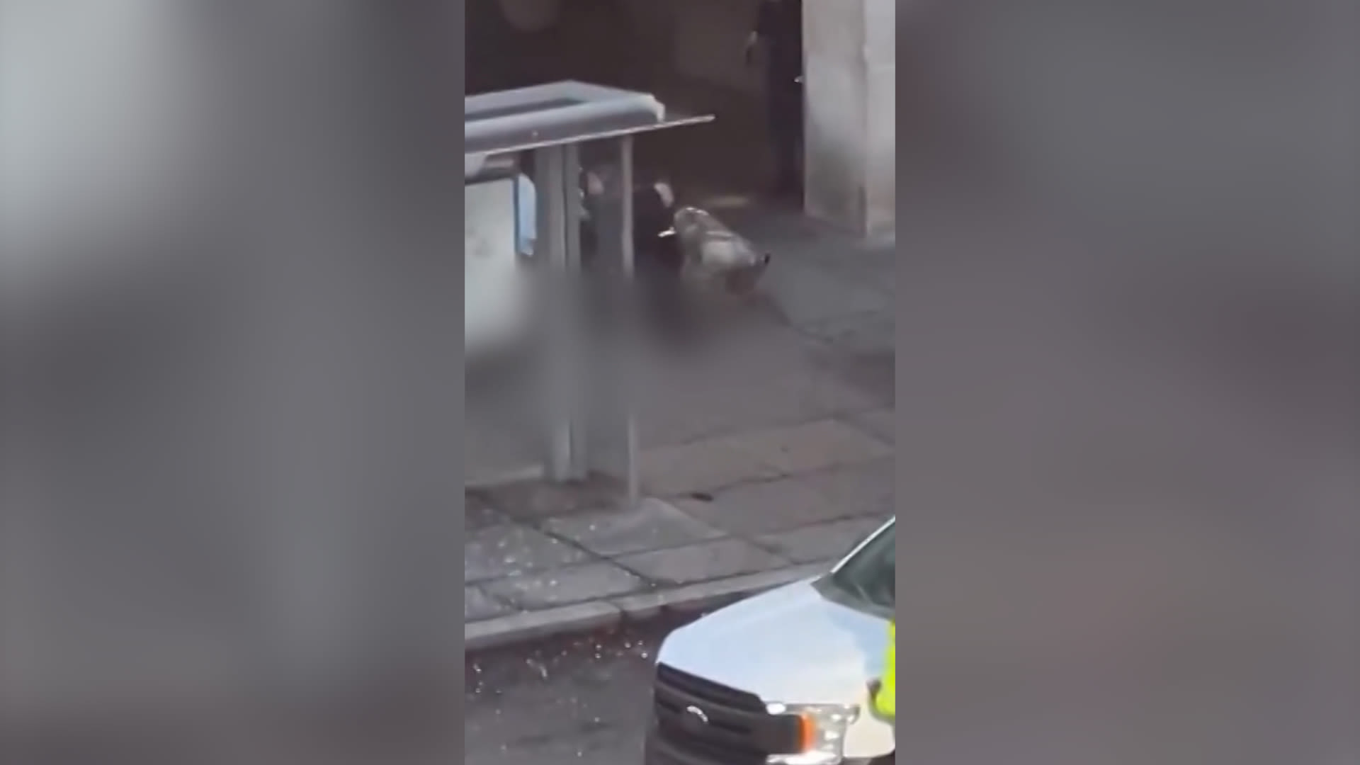 إليكم ما نعلمه عن المشتبه به في إطلاق النار في واشنطن العاصمة