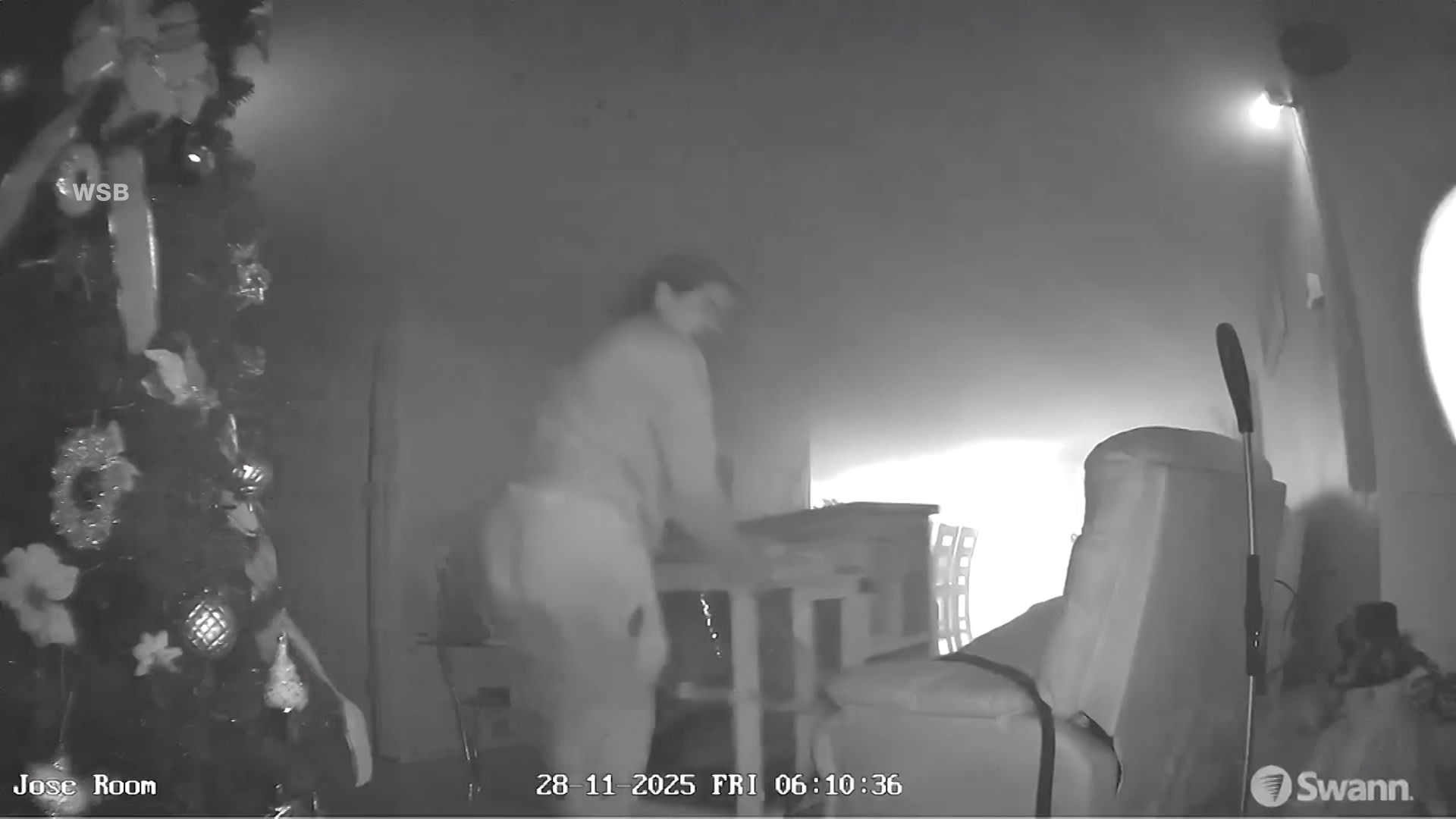 بطل غير متوقع.. أرنب ينقذ أصحابه من حريق قبل أن ينتشر في منزلهم بأمريكا