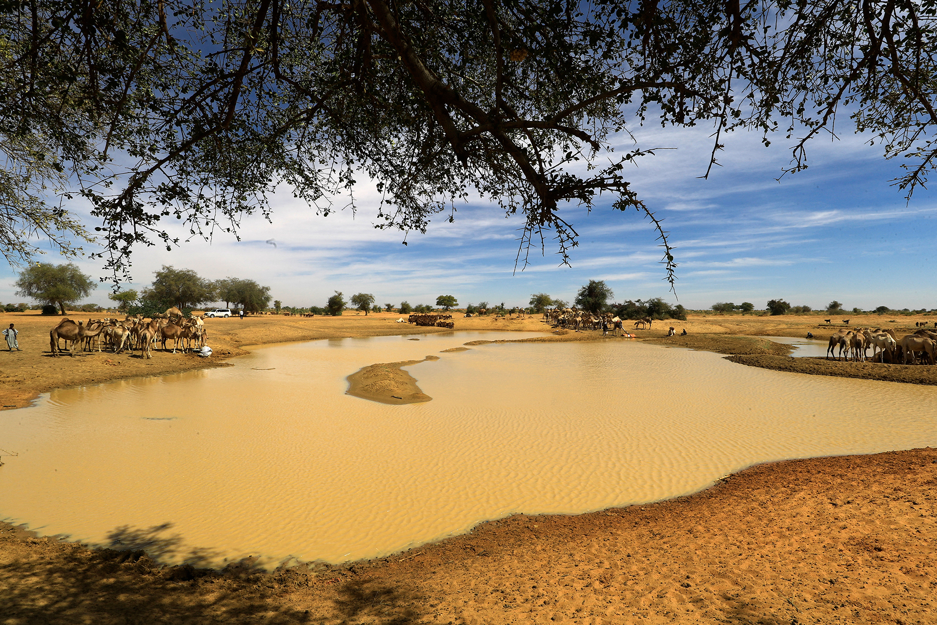 مدينة الأبيض.. "عروس الرمال" في شمال كردفان