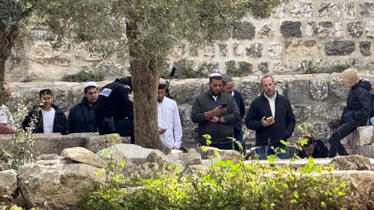 مستوطنون متطرفون يحاولون إدخال قرابين حيوانية للمسجد الأقصى 3 788726 1744793524