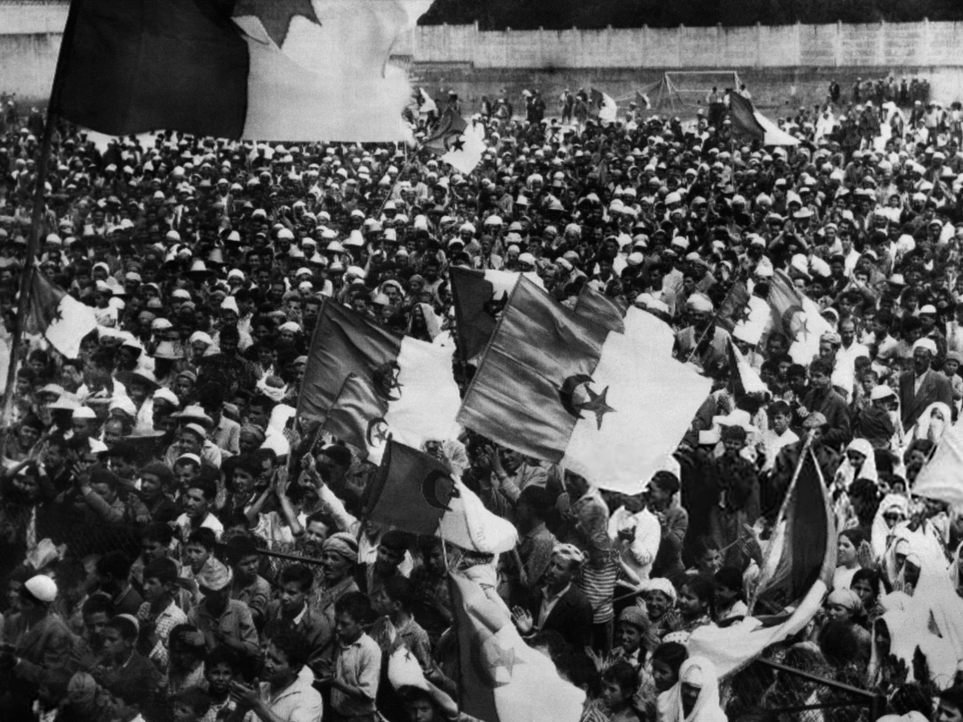 مليشيات الثقافة العربية: عن "الكولونيل بن داود" و"أبو شباب" الأدب العربي