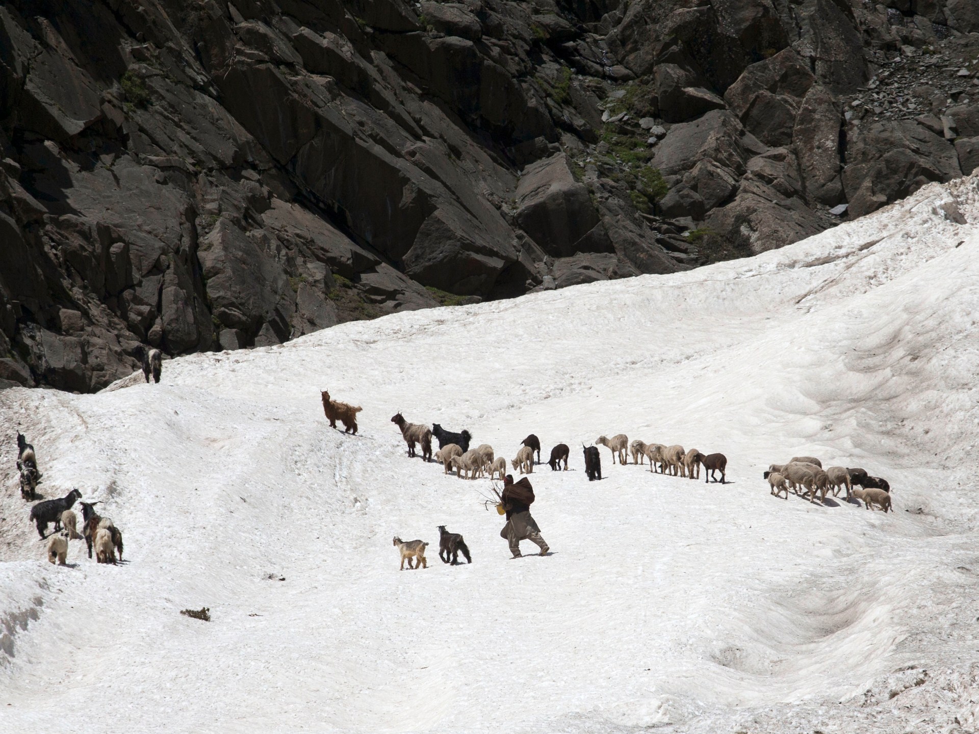 عواقب مدمرة لتغير المناخ في المناطق الجبلية