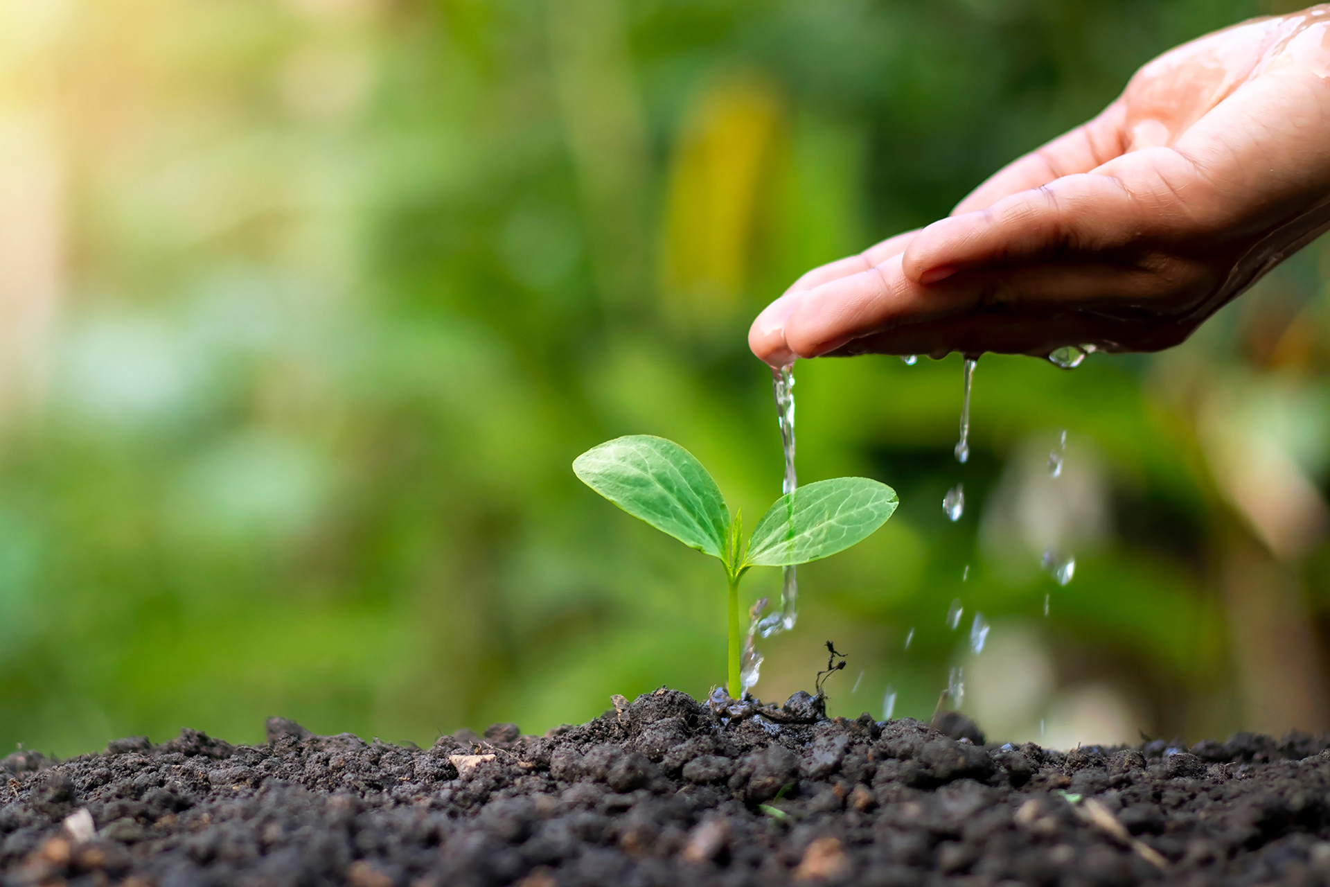 تقرير: سرّ معالجة أزمة المناخ قد يكمن في التربة