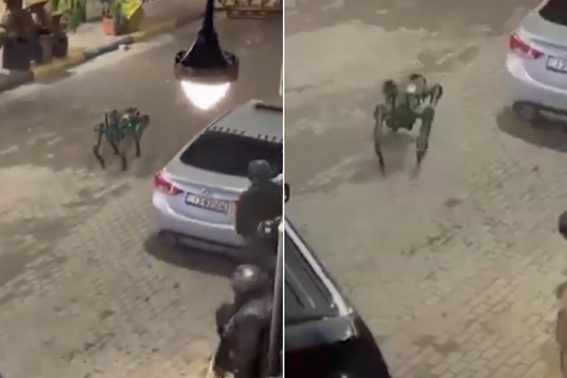 شاهد.. قوات الأمن الأردنية تستخدم "كلبا روبوتيا" خلال مداهمة في الرمثا