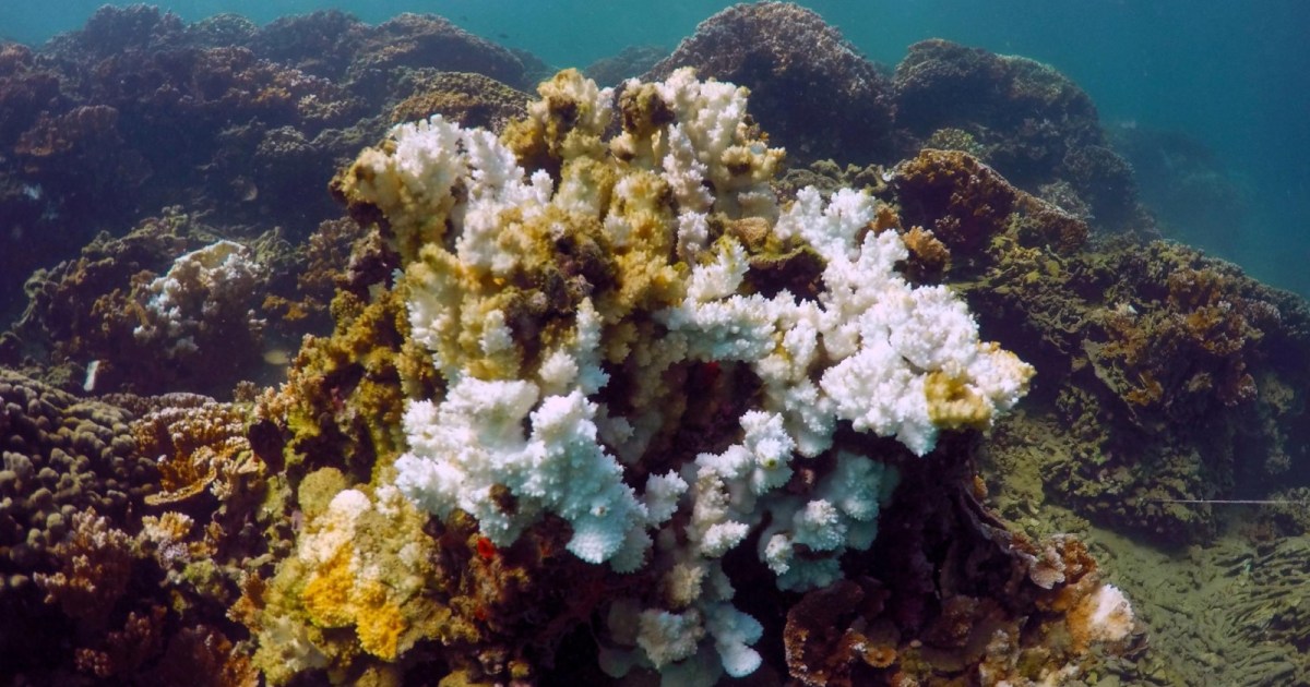 احترار متسارع يُدخل الكوكب مرحلة التحولات المناخية الحرجة