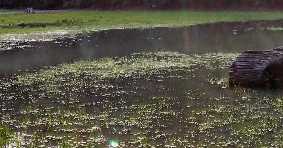 عمرها 550 مليون سنة.. حيوانات حفرت أقدم أنفاق بحرية في العالم