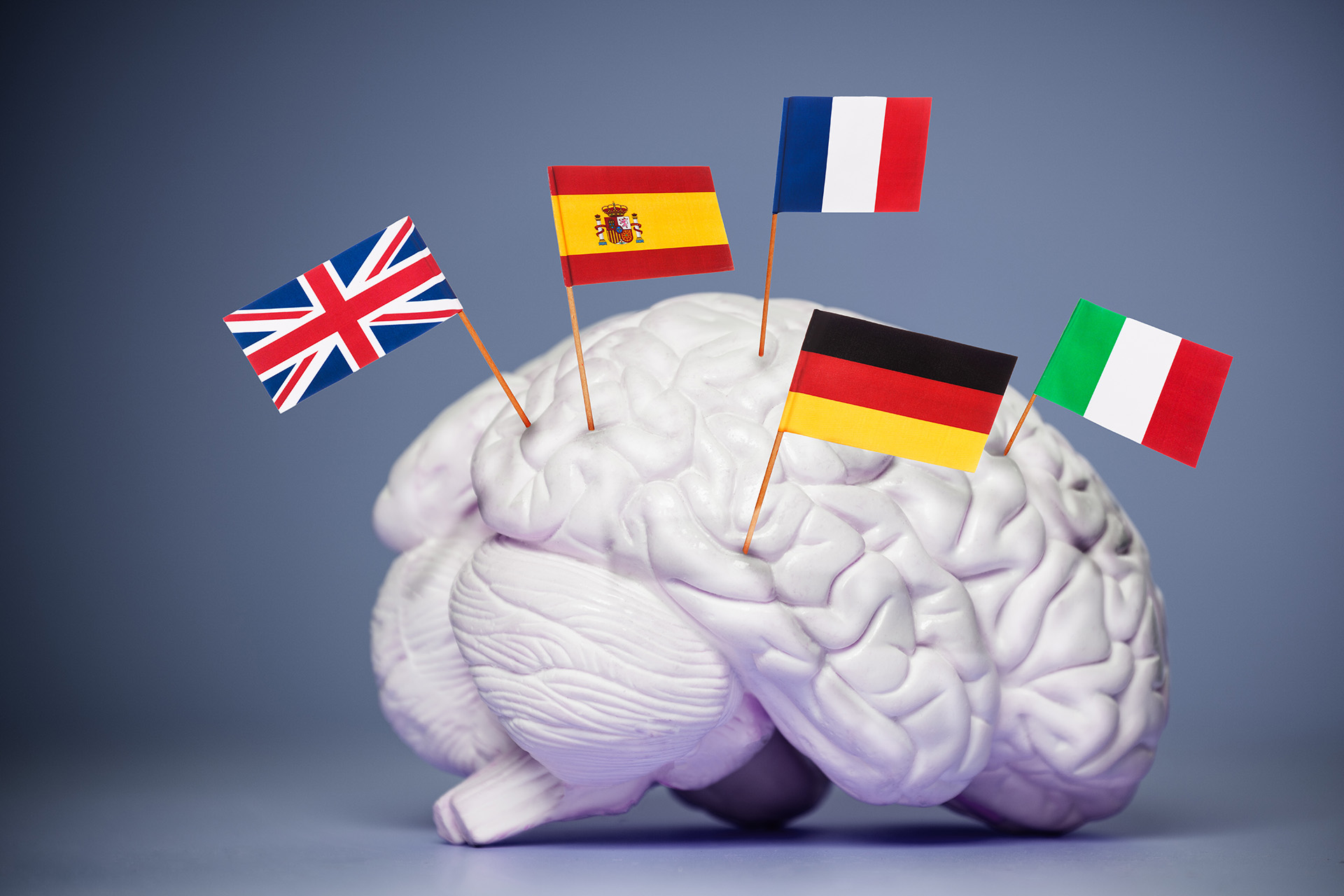 تعدد اللغات يبطئ الشيخوخة.. كيف تحمي دماغك من التدهور المعرفي؟