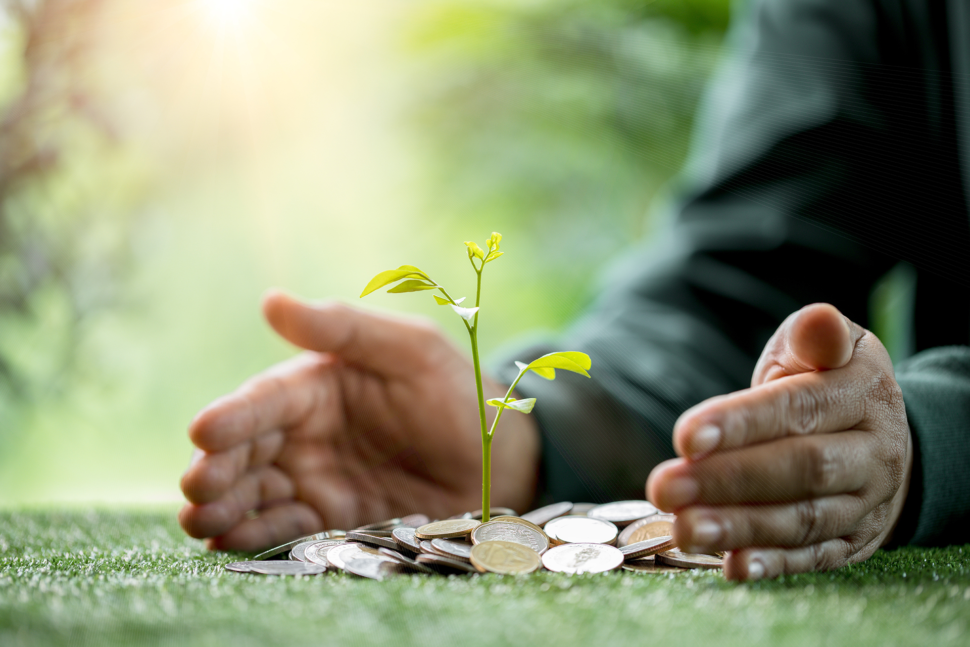 سوق السندات الخضراء الصينية تتفوق على نظيراتها الأميركية والأوروبية