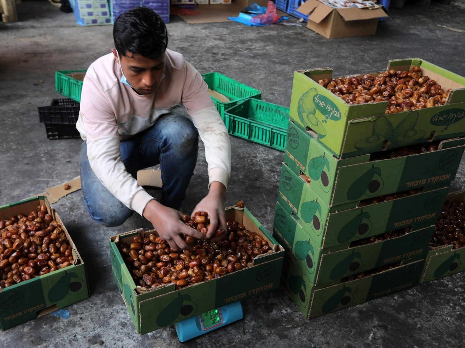 2Palestinian dates 1767011145
