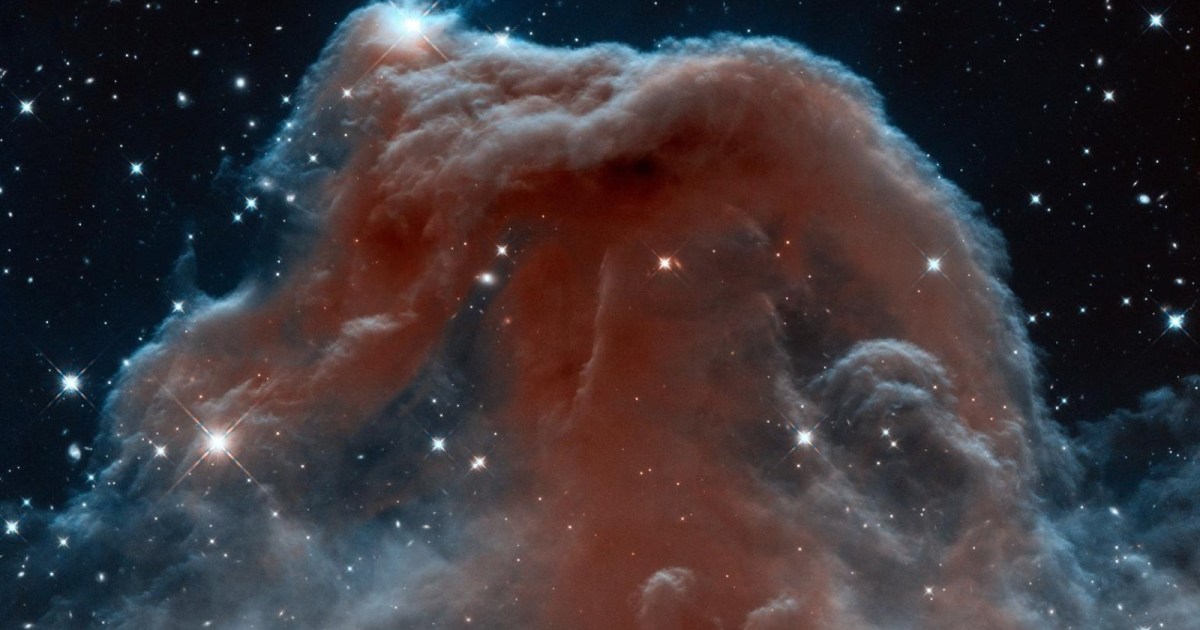 من مصر القديمة إلى الجزيرة العربية.. كيف تغيرت نجوم "الصياد" عبر التاريخ؟