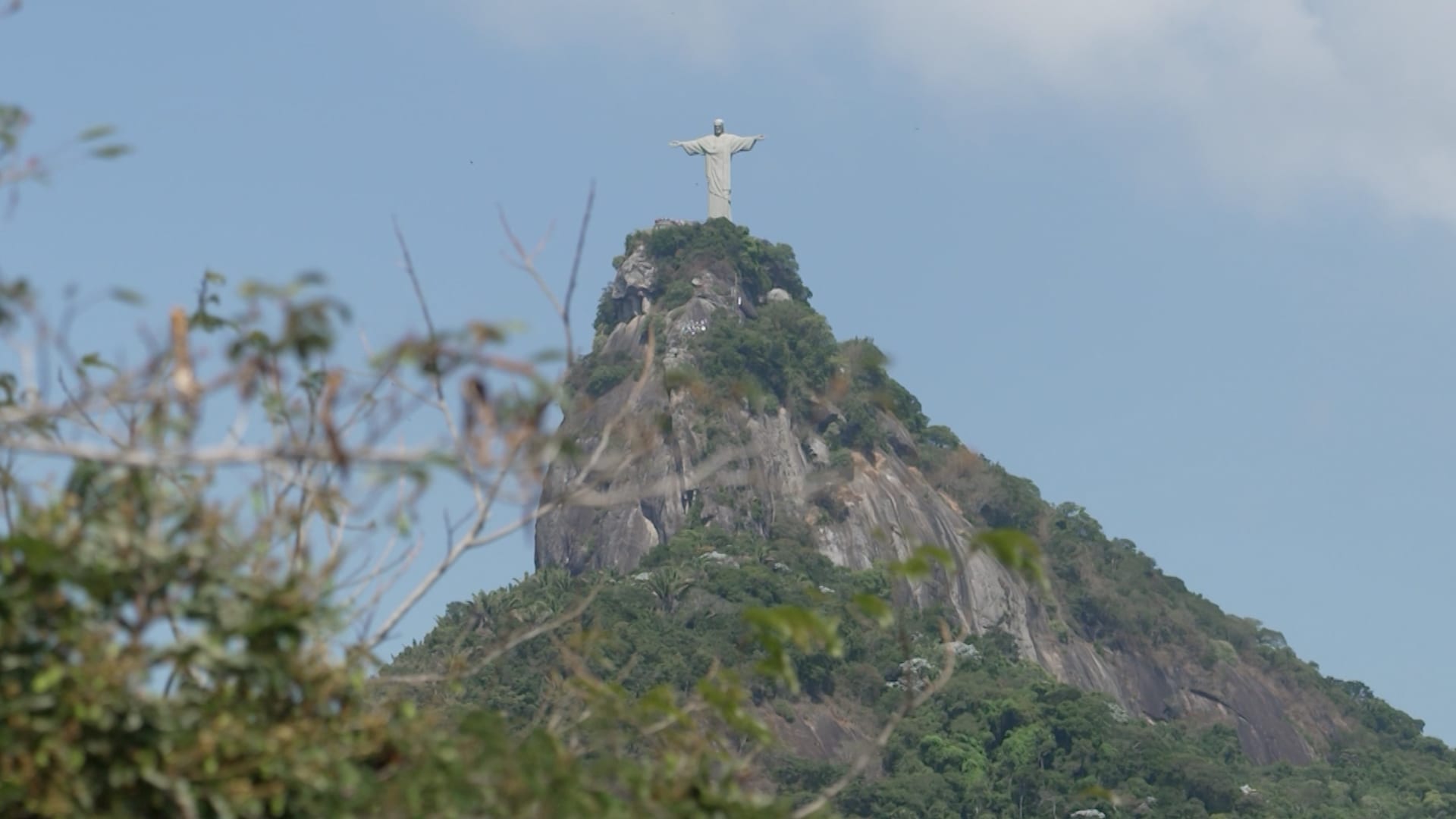 شتلةً بعد أخرى.. شاهد كيف أعاد أهالي ريو دي جانيرو زراعة الغابات بأيديهم