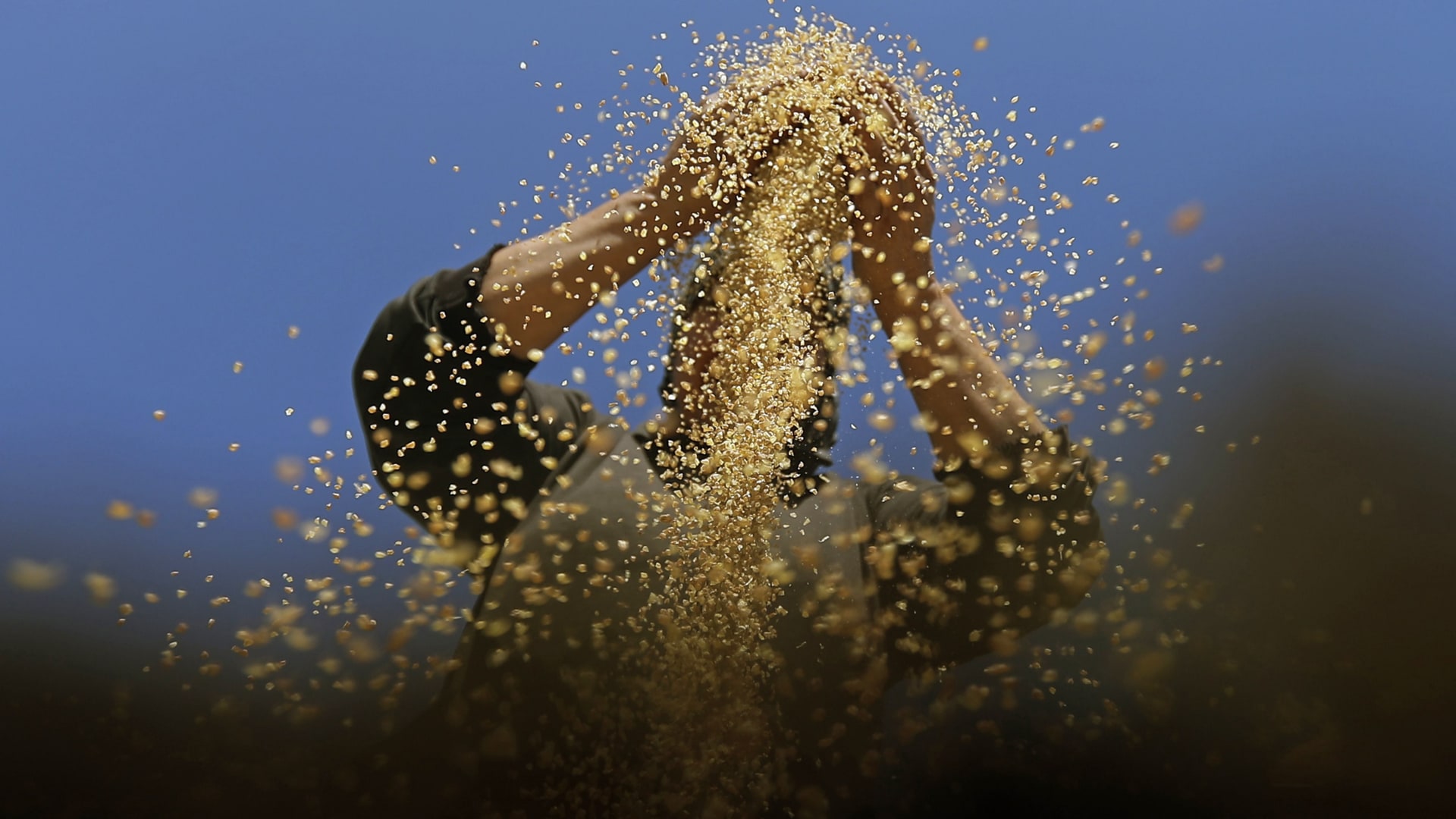 أبرز فوائد البرغل..سرّ الأطباق الصحيّة في المطبخ الشرقي