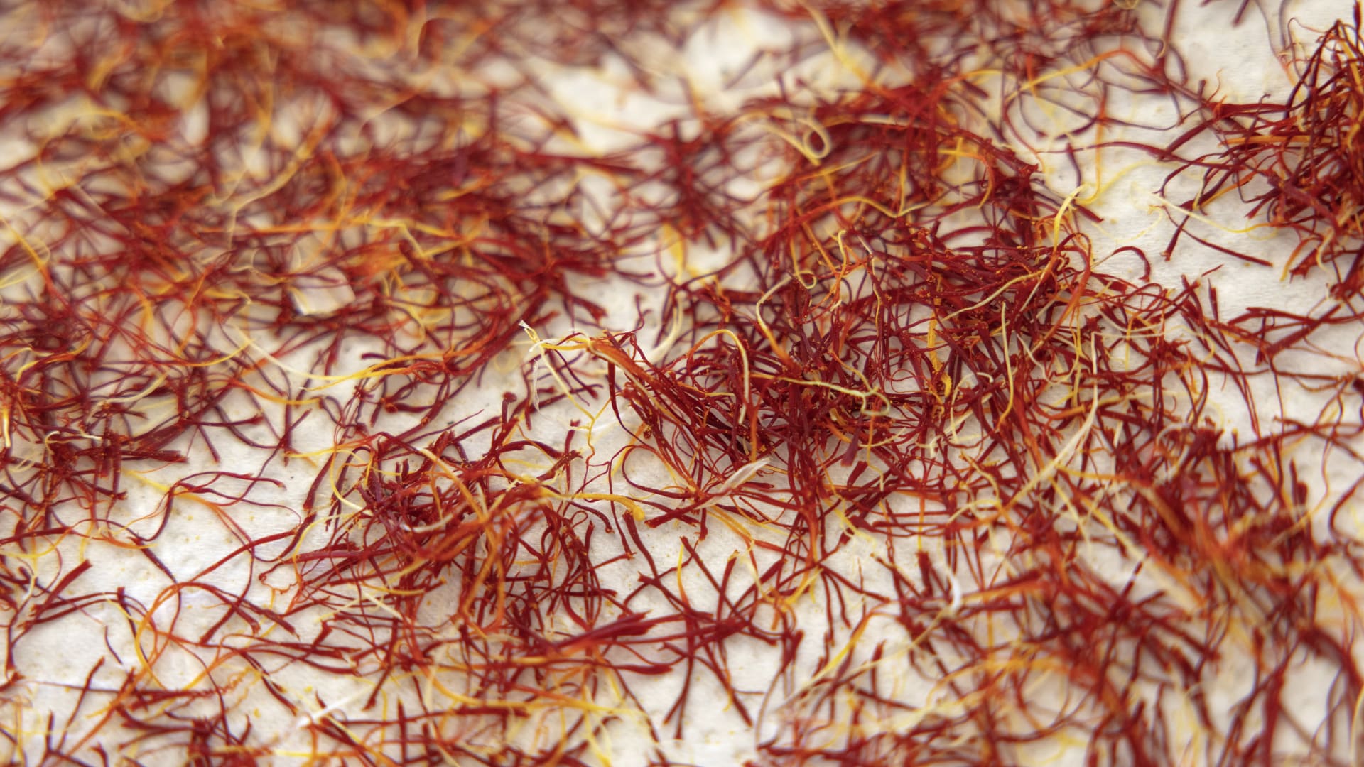 بعيدًا عن "الأشواغاندا".. 3 بدائل طبيعية لعلاج التوتر والضغوط النفسية