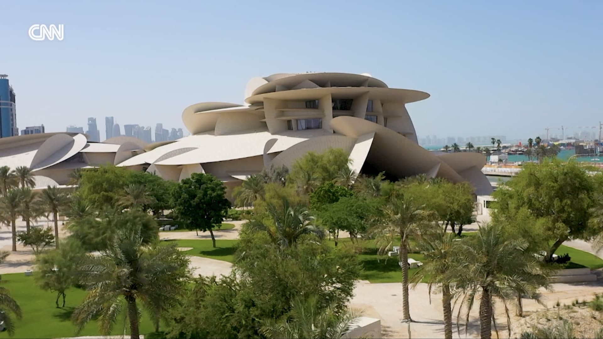 زهرة الصحراء.. أيقونة في قطر تلهم الفنانين للحفاظ على تراث البلاد