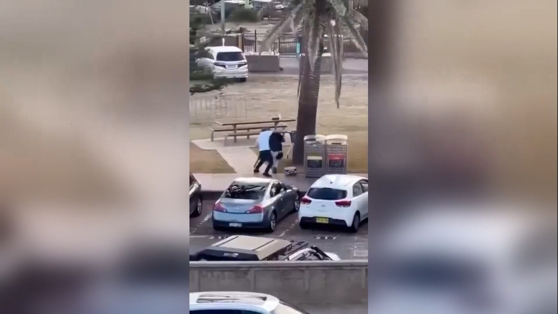 هجوم سيدني.. شاهد عيان ينقضّ على مسلح وينقذ أرواحًا والسلطات تشيد به