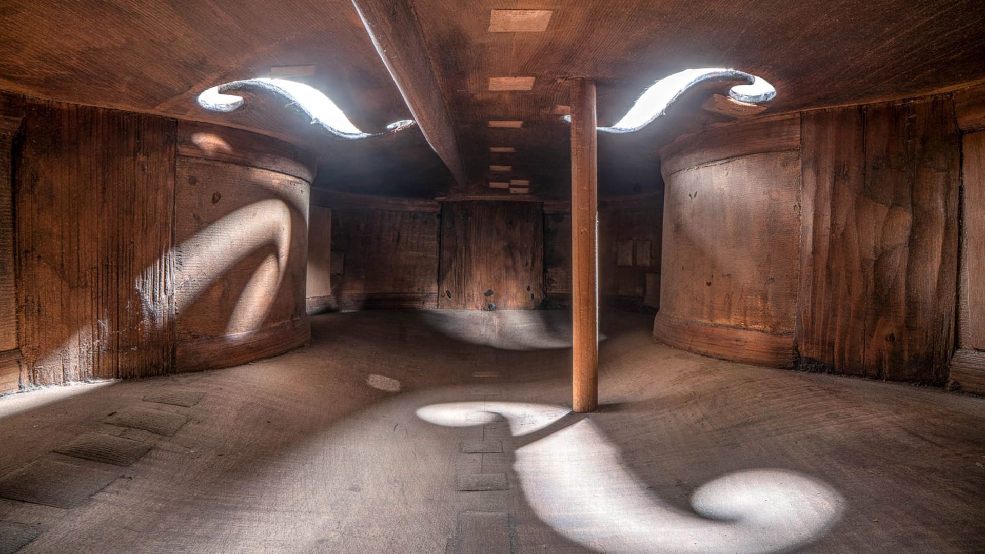 صور مذهلة تكشف عن العوالم الخفية داخل الآلات الموسيقية