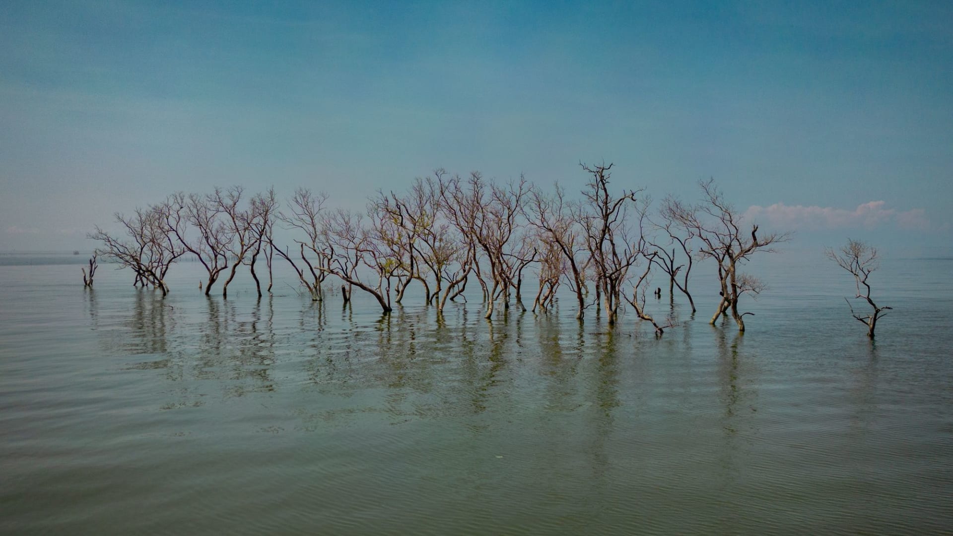 بيانات جديدة تثير تساؤلات حول مدى ارتفاع درجة حرارة كوكب الأرض