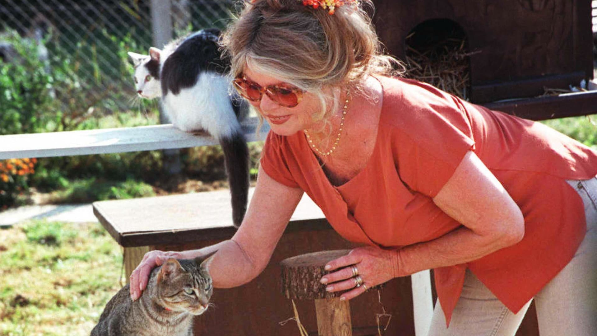 "أسطورة القرن".. وفاة بريجيت باردو نجمة الإغراء الفرنسية والمدافعة الشرسة عن حقوق الحيوان