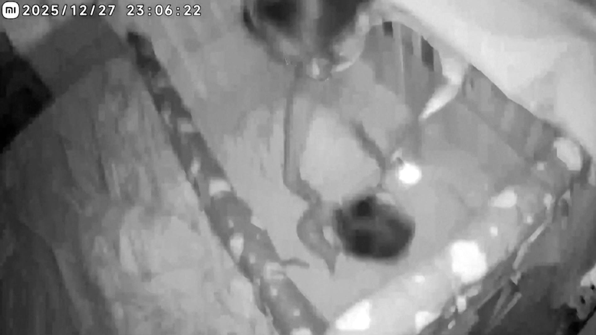 شاهد إسراع أم لحماية طفلها وسط زلزال بقوة 7 درجات في تايوان