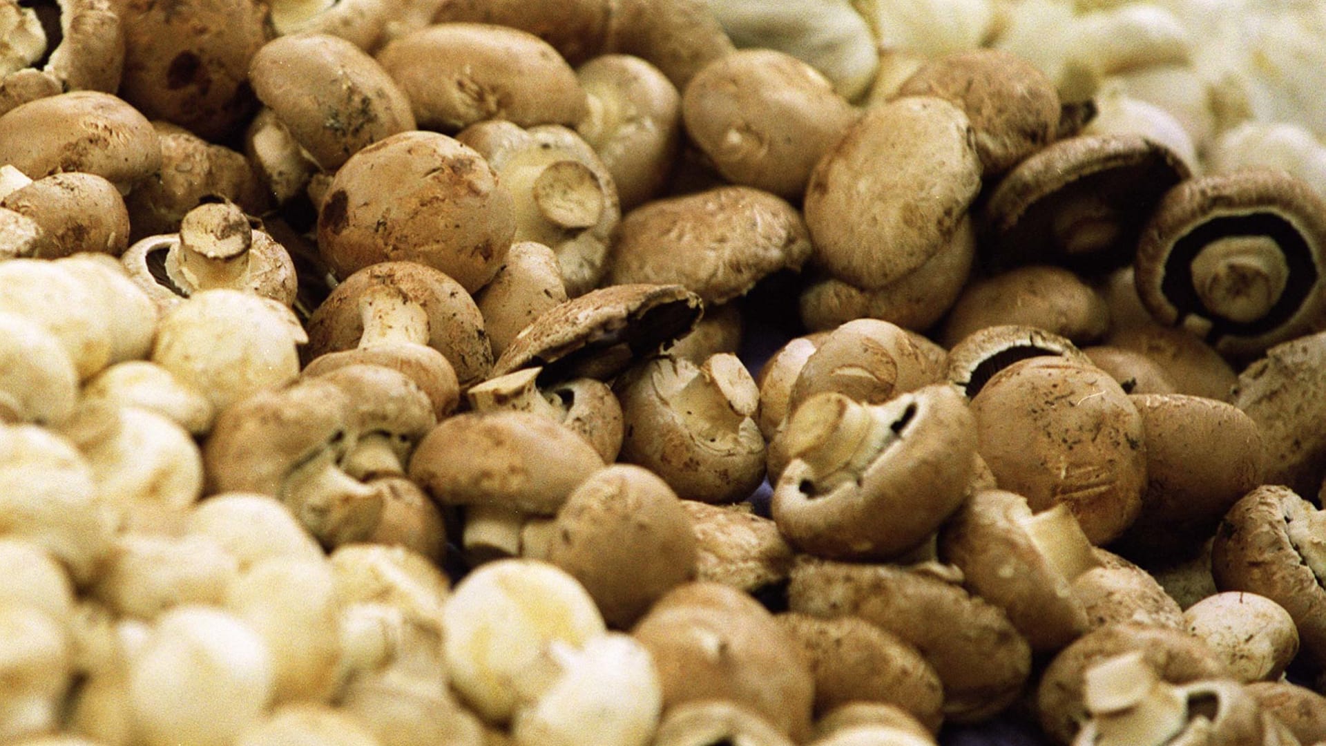 أبرز صيحات الطعام الصحي المتوقعة للعام 2026