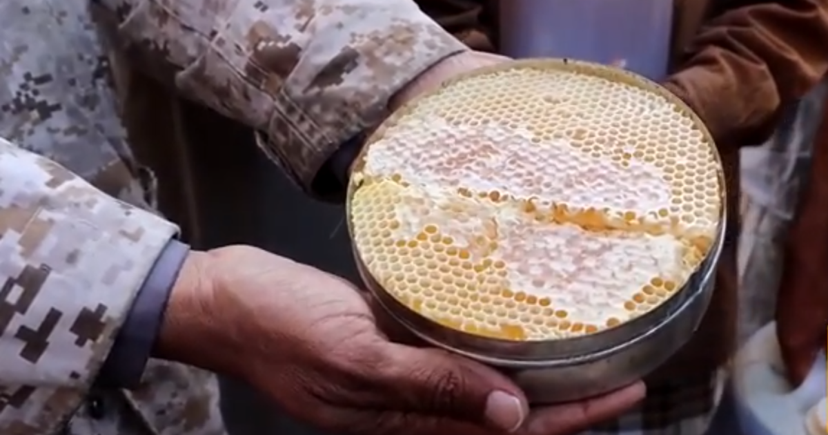 ماذا تعرف عن أكبر وأقدم أسواق العسل في وادي حضرموت؟